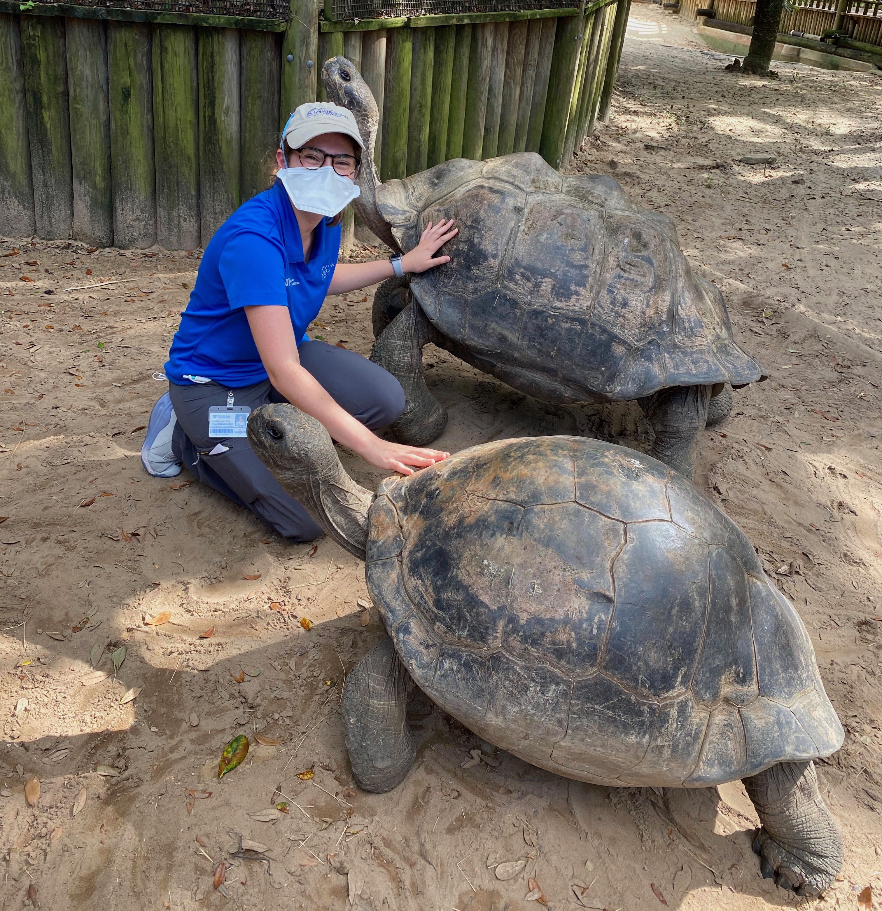 Sarah Balik shown with two tortoises