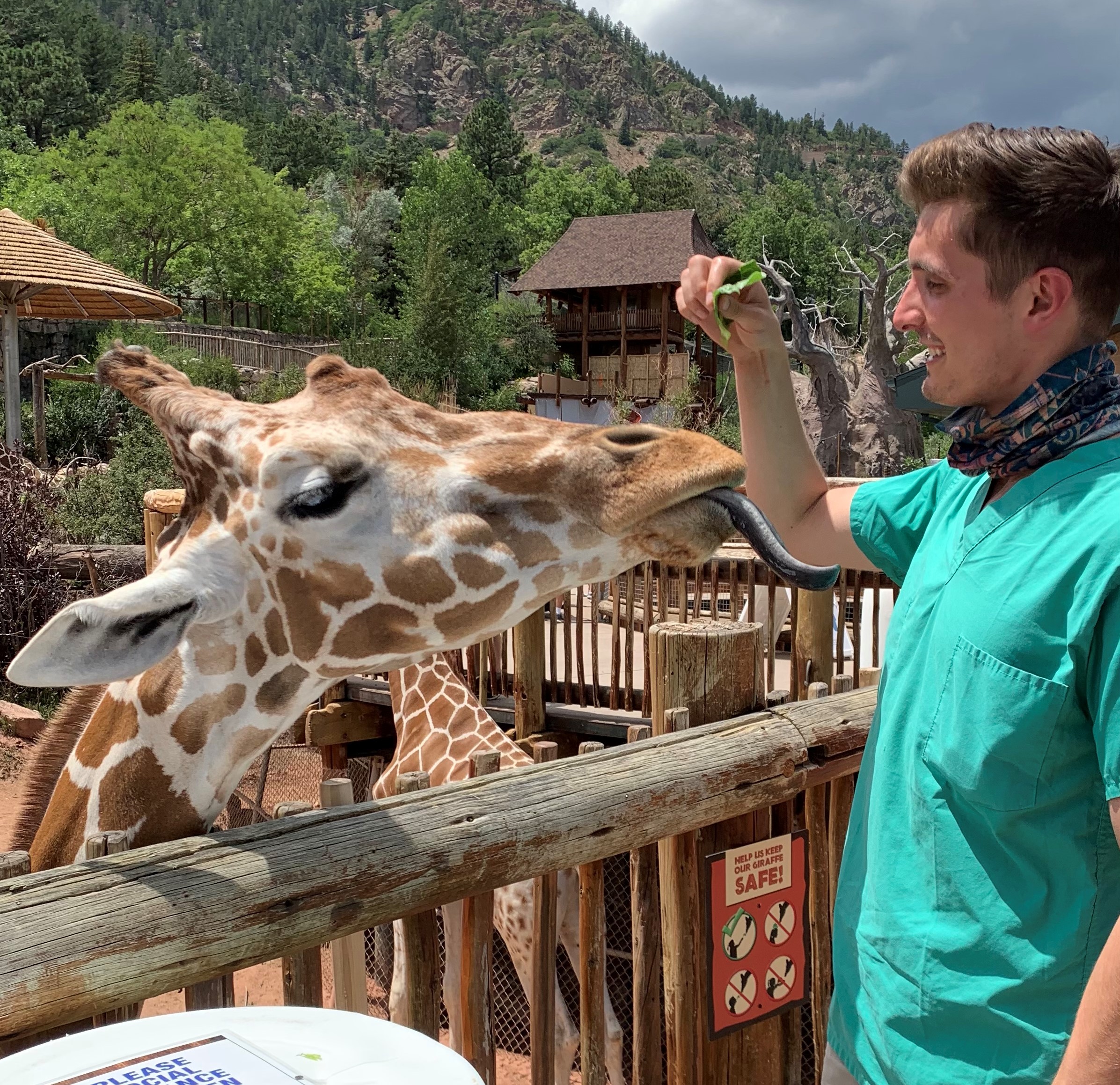Zack Dvornicky-Raymond shown with a giraffe