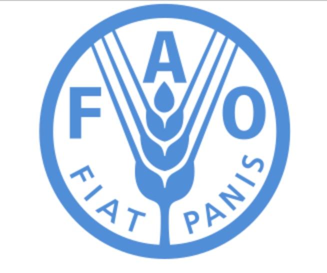 FAO (Southern Africa)