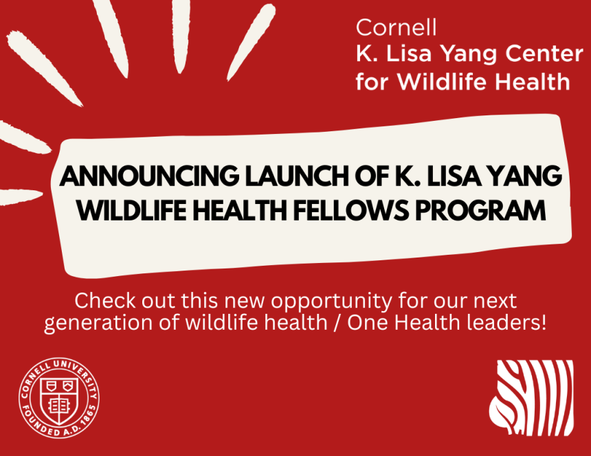 Announcing launch of K. Lisa Yang Wildlife Health Fellows program