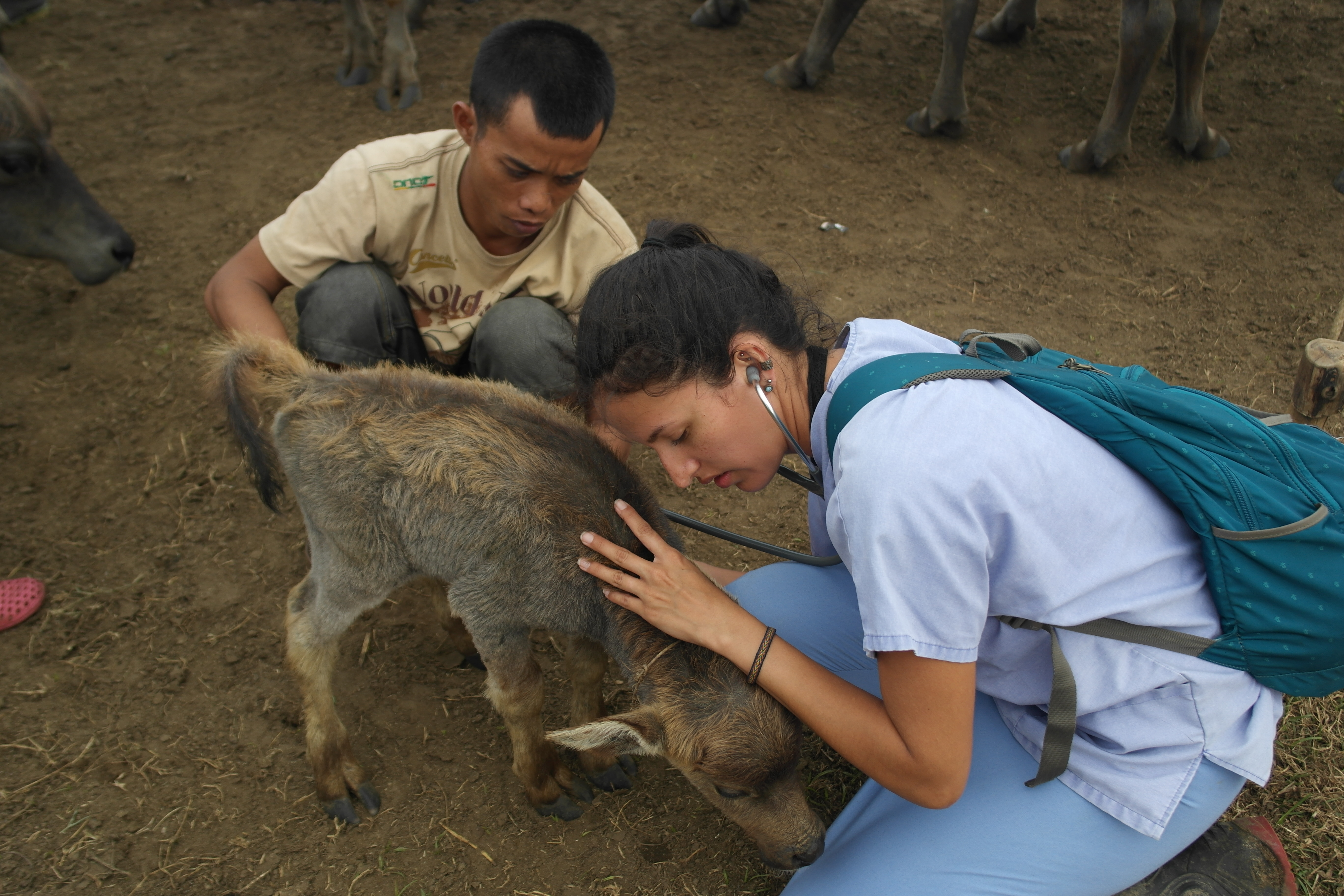 Mariacamila Garcia Estrella evaluating livestock in Indonesia