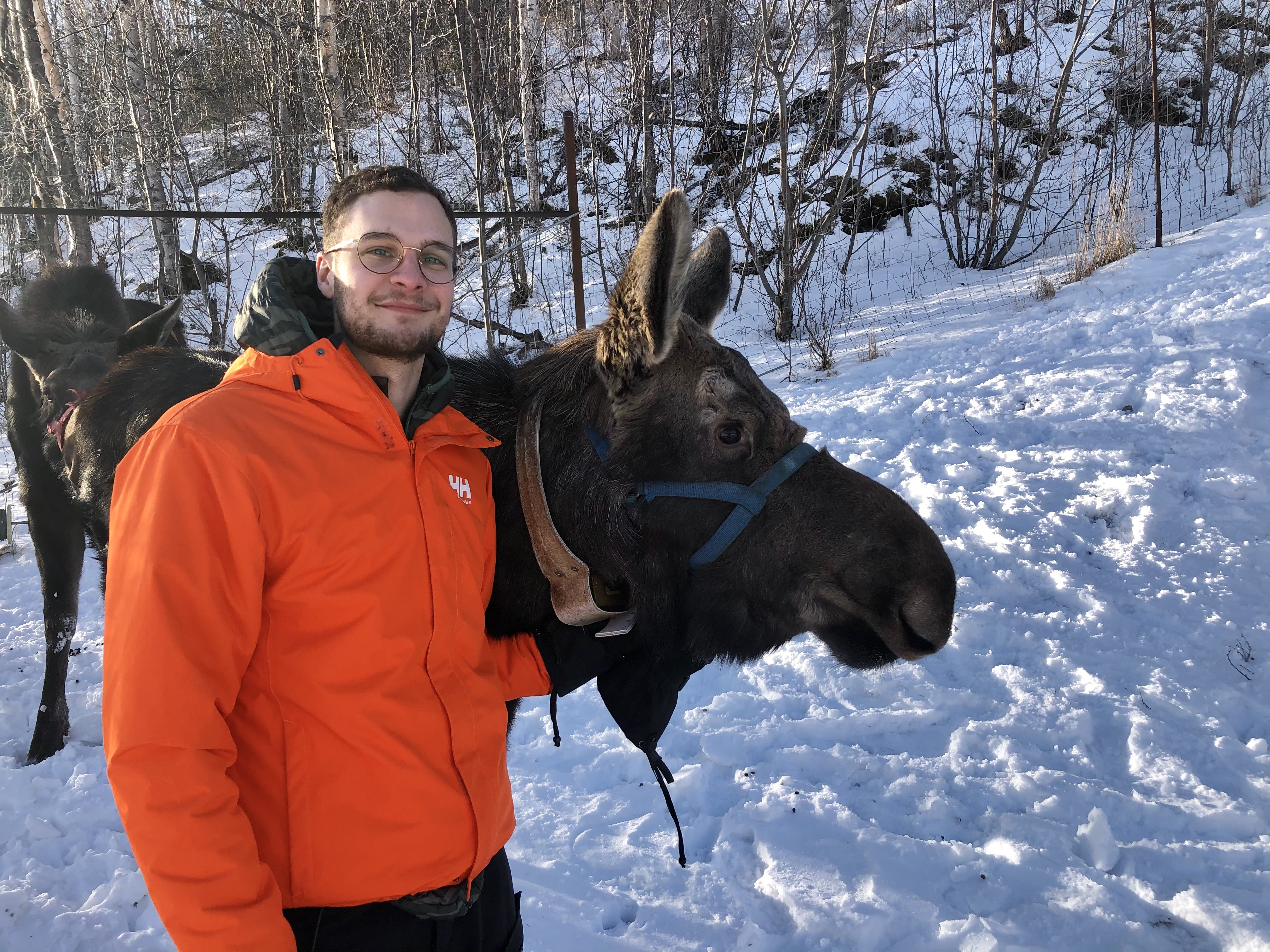 Ben Jakobek shown with a young moose