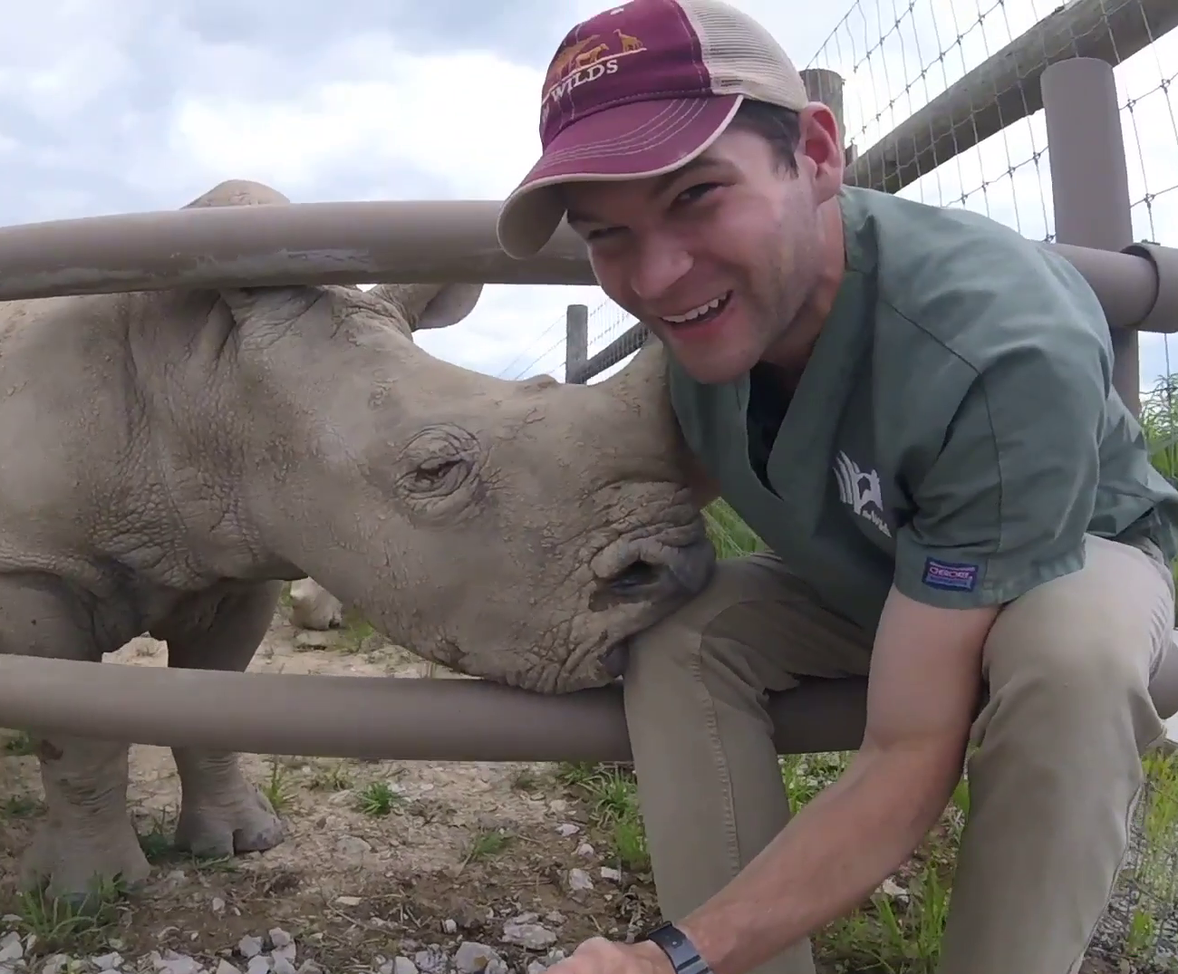 Veterinary student with rhino