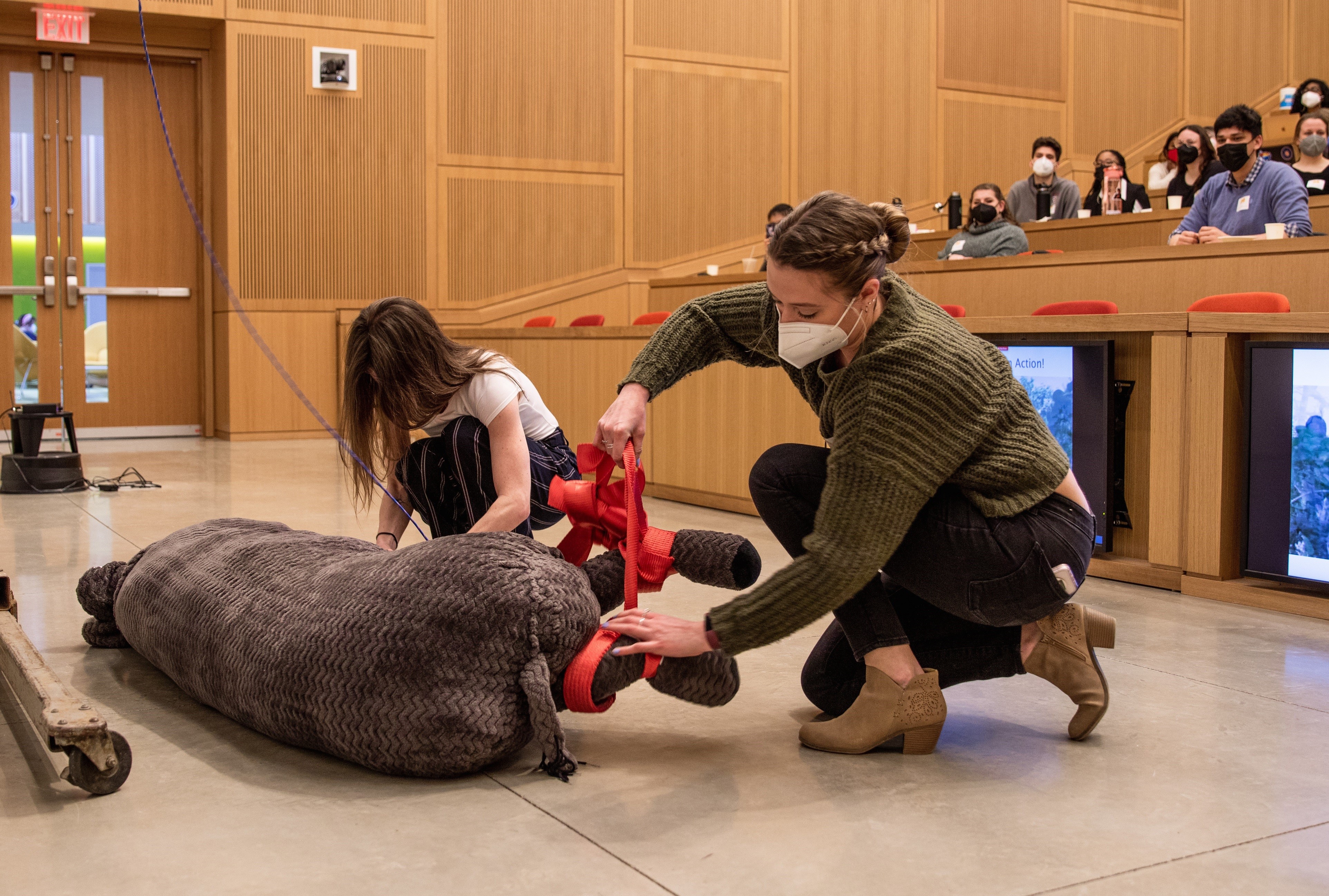 Students at the ZAWS symposium involved in Rhino transport demo