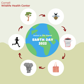 Lourdes Hospital - On Earth Day, we focus on investing in our planet to  preserve and protect the health of everyone in our community. Join us as we  celebrate Earth Day by