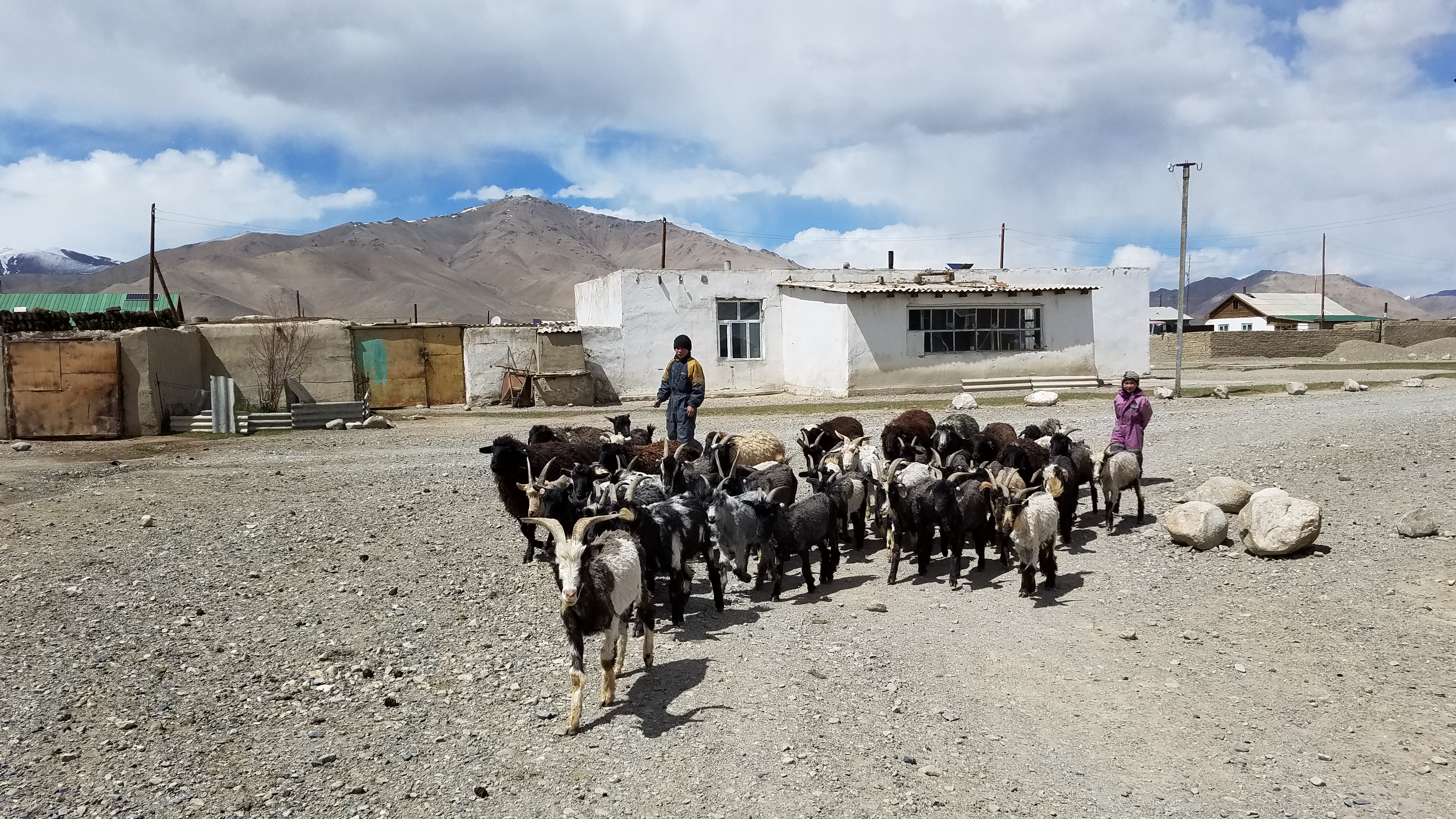 A family herding their livestock in the Pamir Mountains