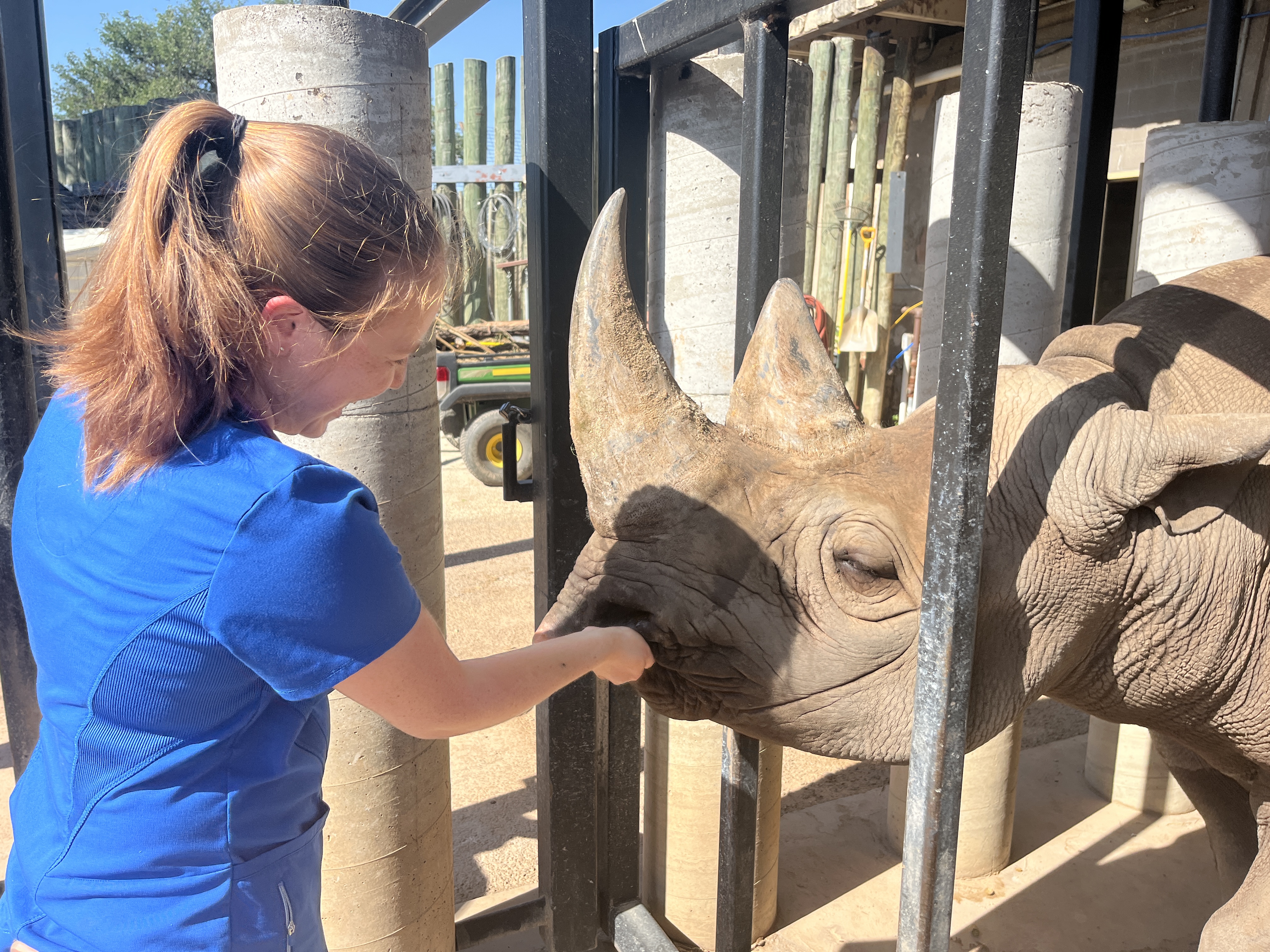 Colleen Sorge with rhino at the Abilene Zoo.