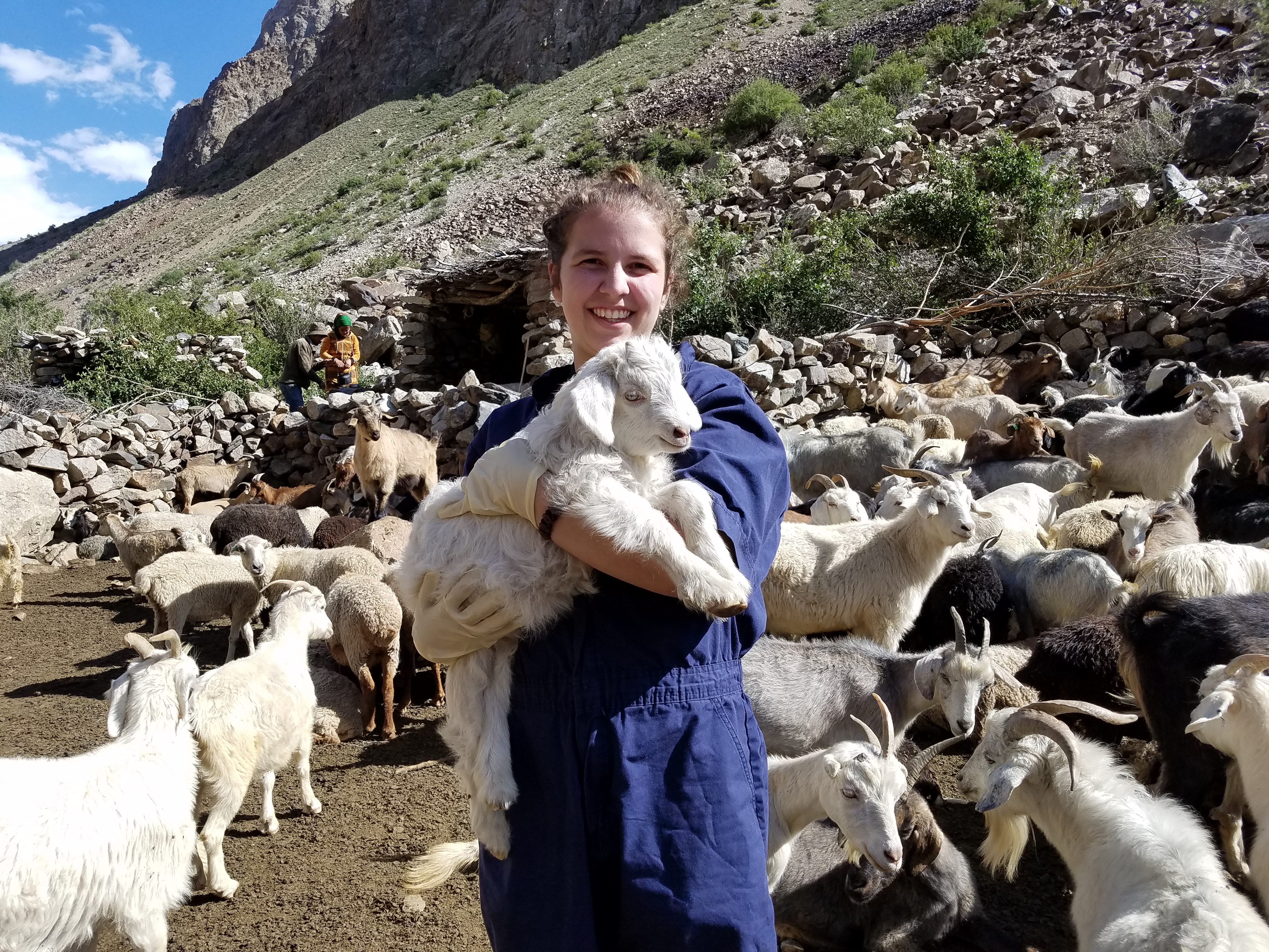 Ana Pantín during the livestock survey shown holding a lamb and surrounded by the herd.