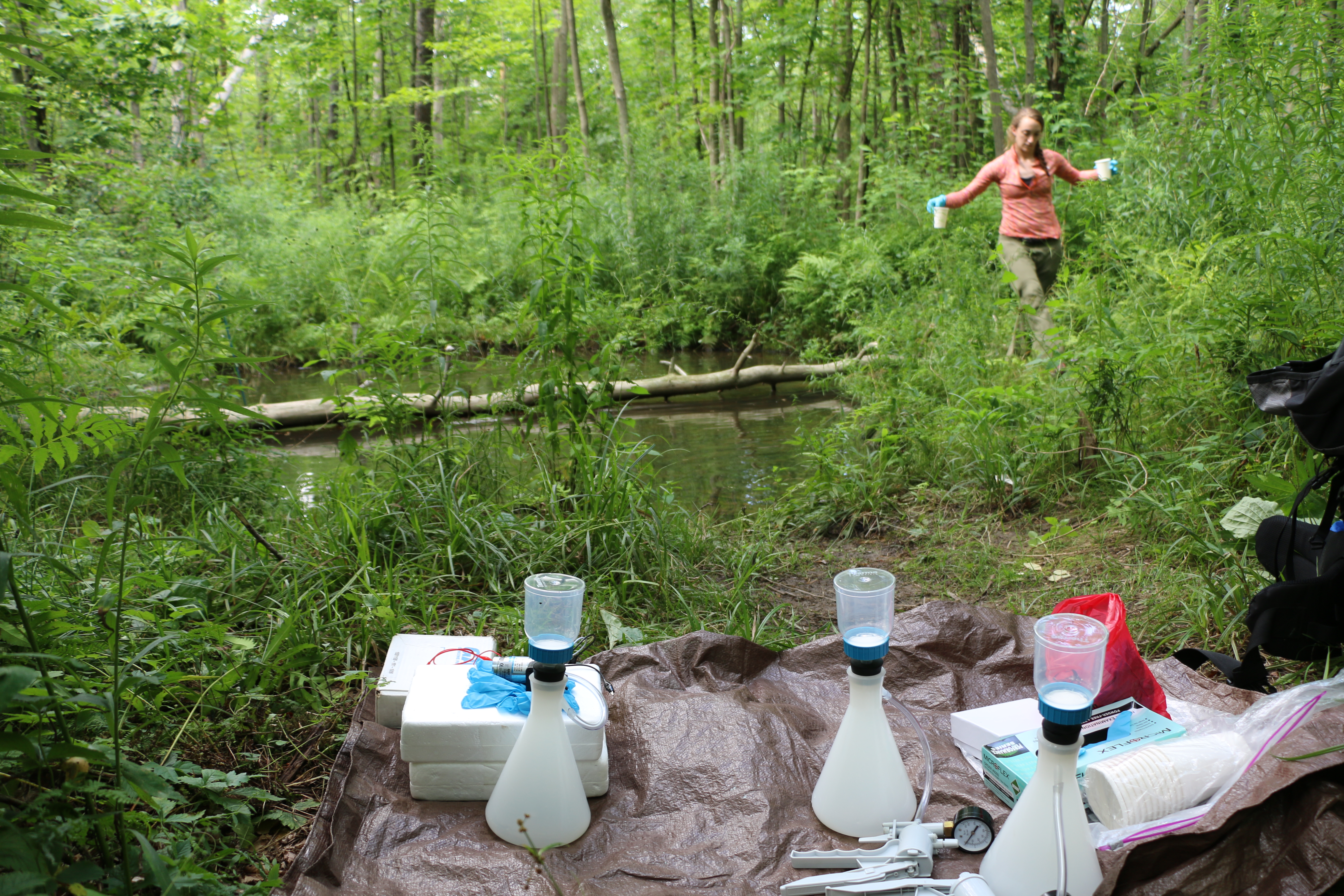 Alyssa Kaganer collecting samples from a stream.