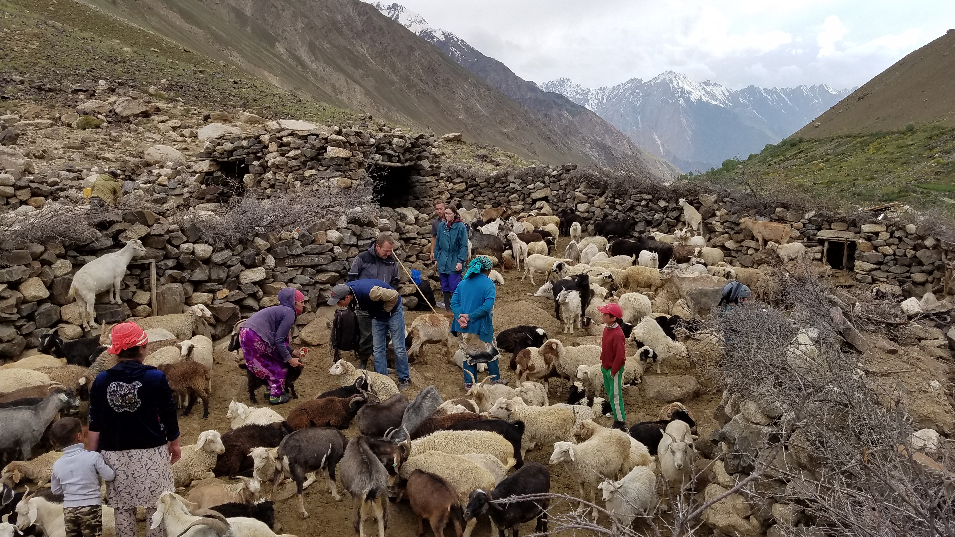 Pamir Mountain village by Helen Lee