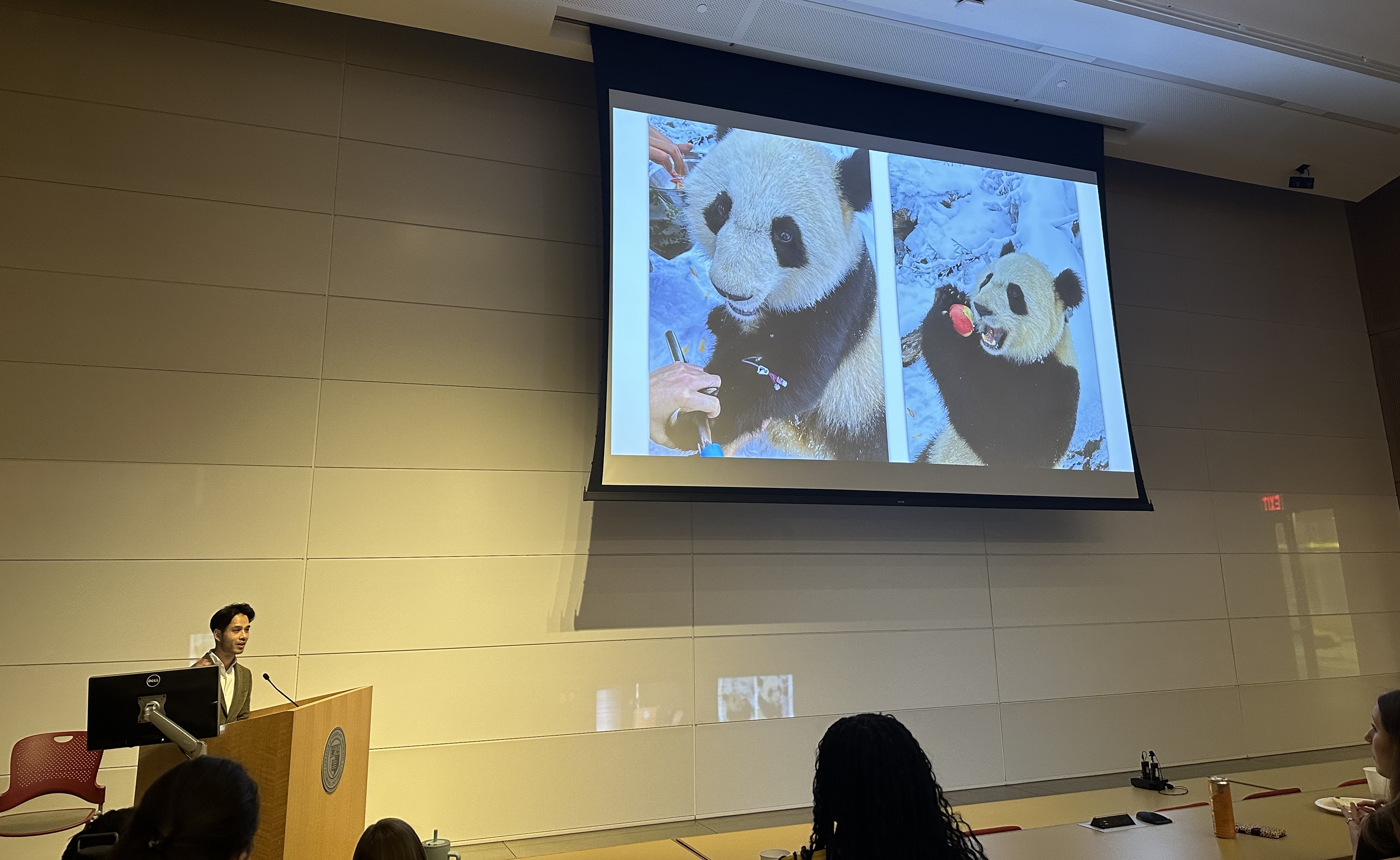 Wildlife Conservation Day presentation showing a slide with Giant Pandas.