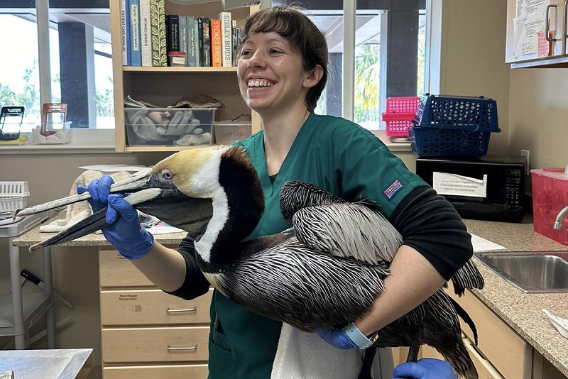 Christine Roviera with pelican