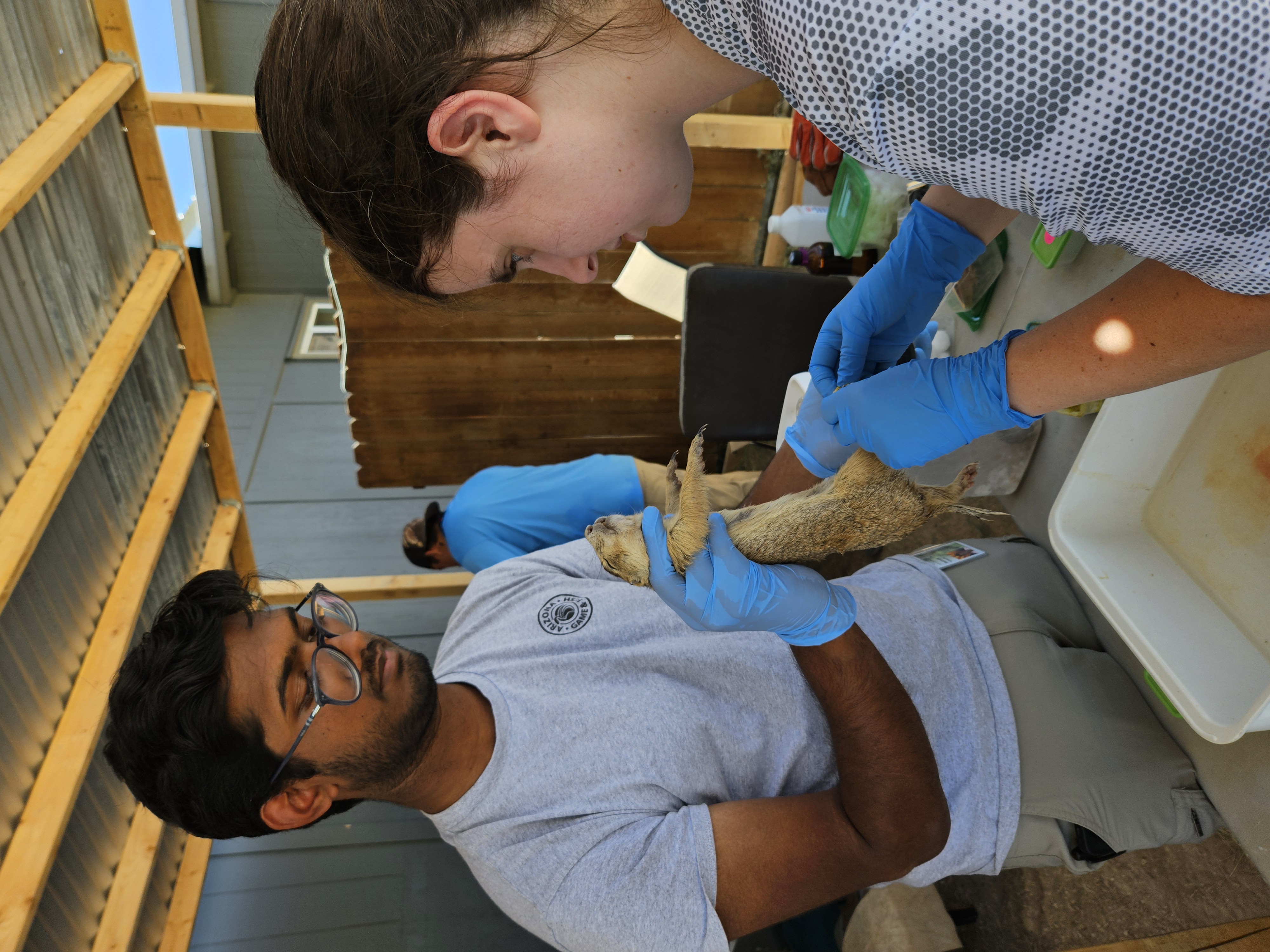 Processing prairie dogs with Sathvik Nallagatla. Photo: Dr. Katie Schwartz