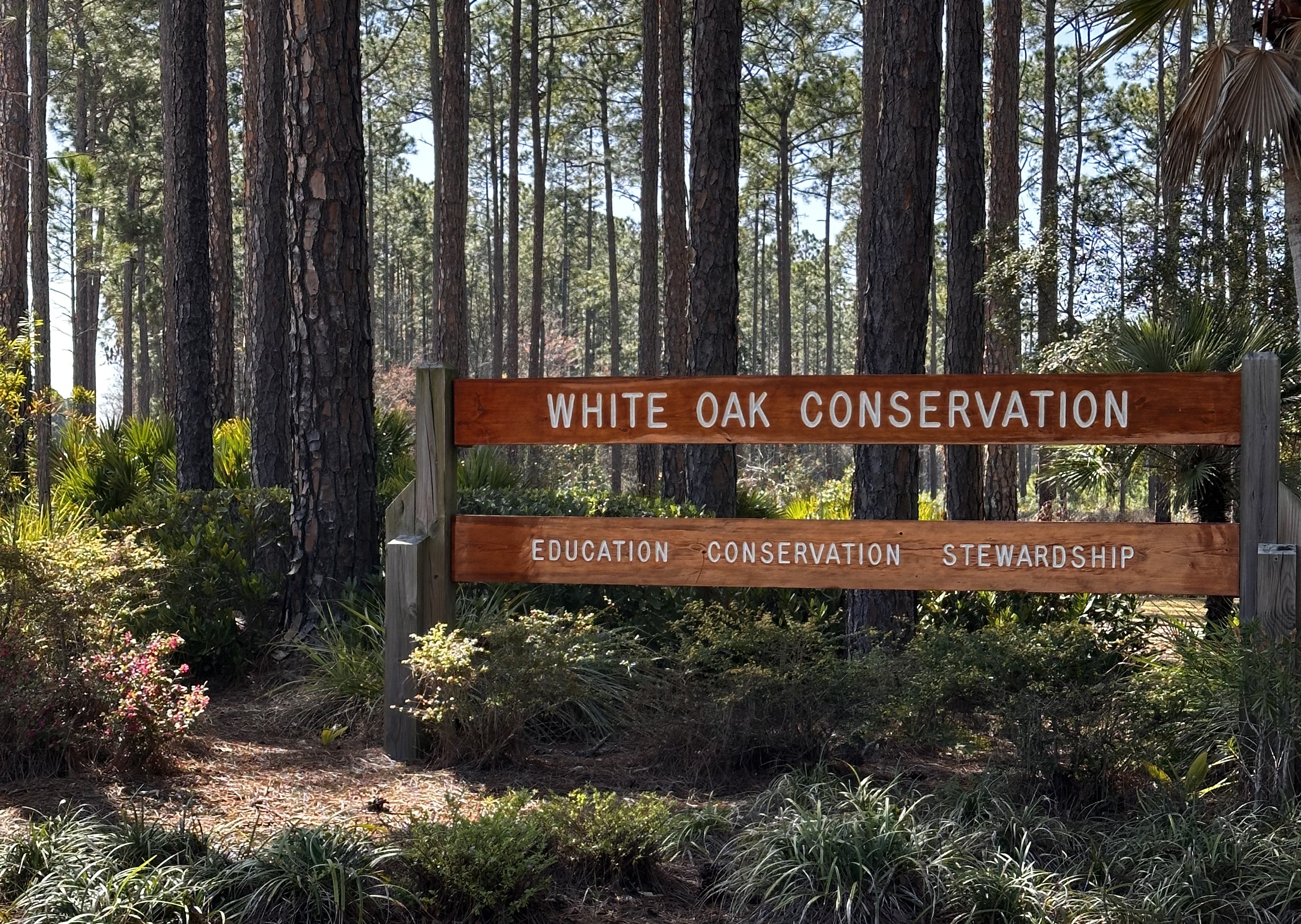 White Oak Conservation sign in forest