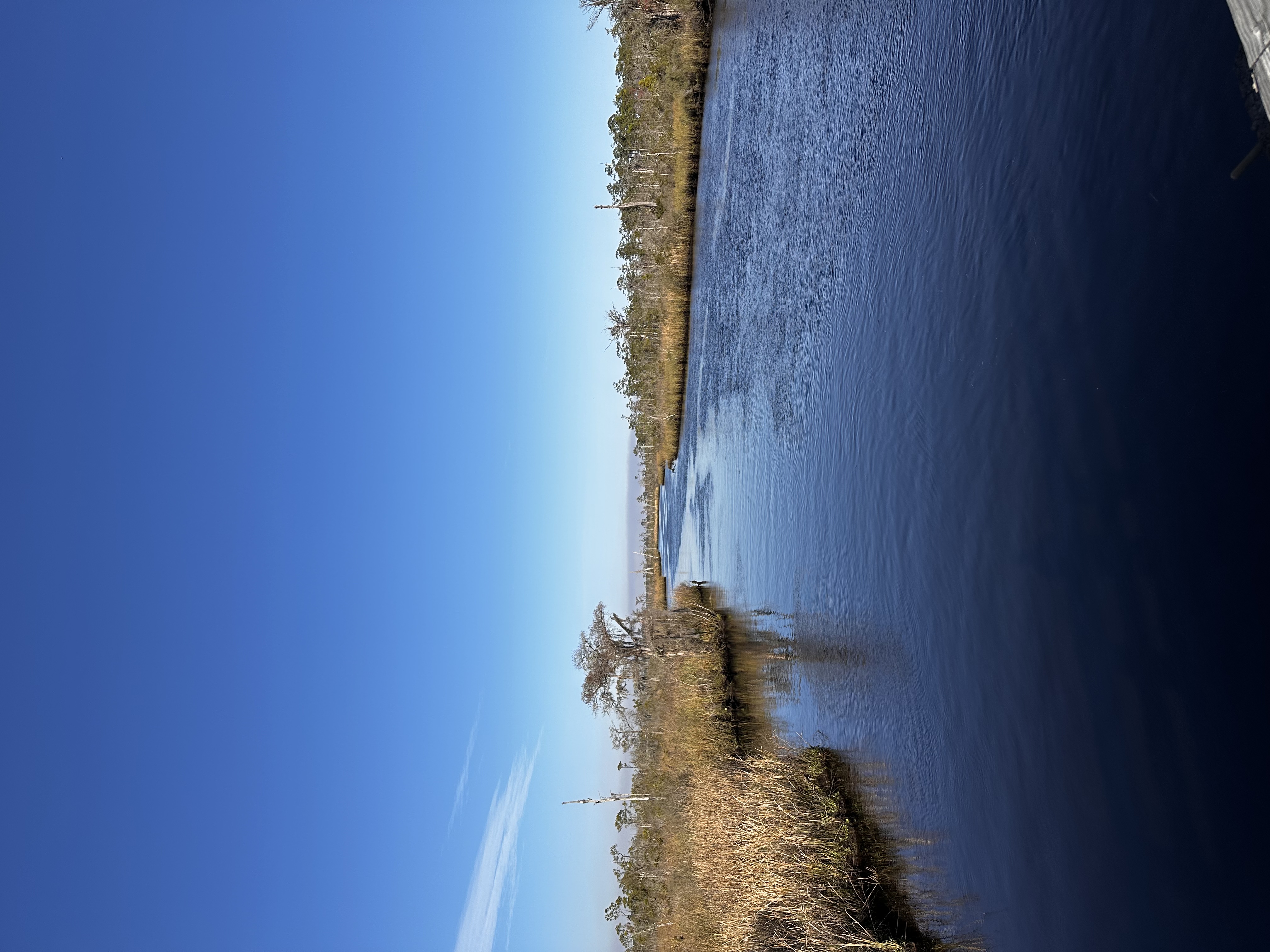 St. Mary's River which divides Florida and Georgia