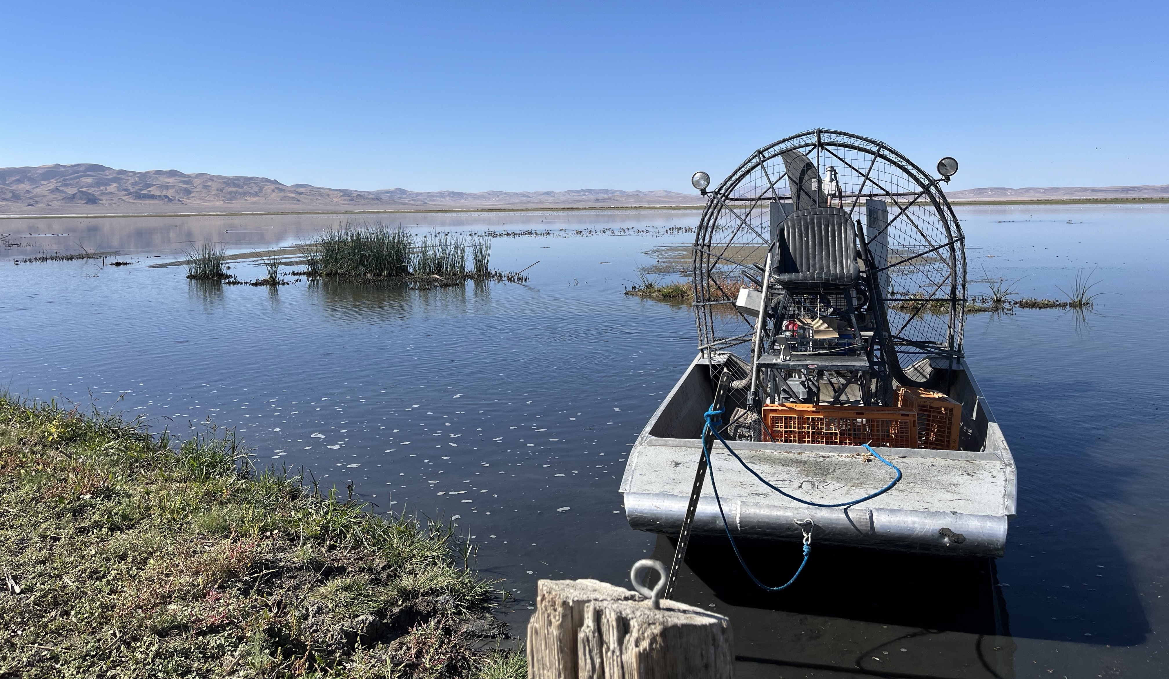 wetlands with airboat