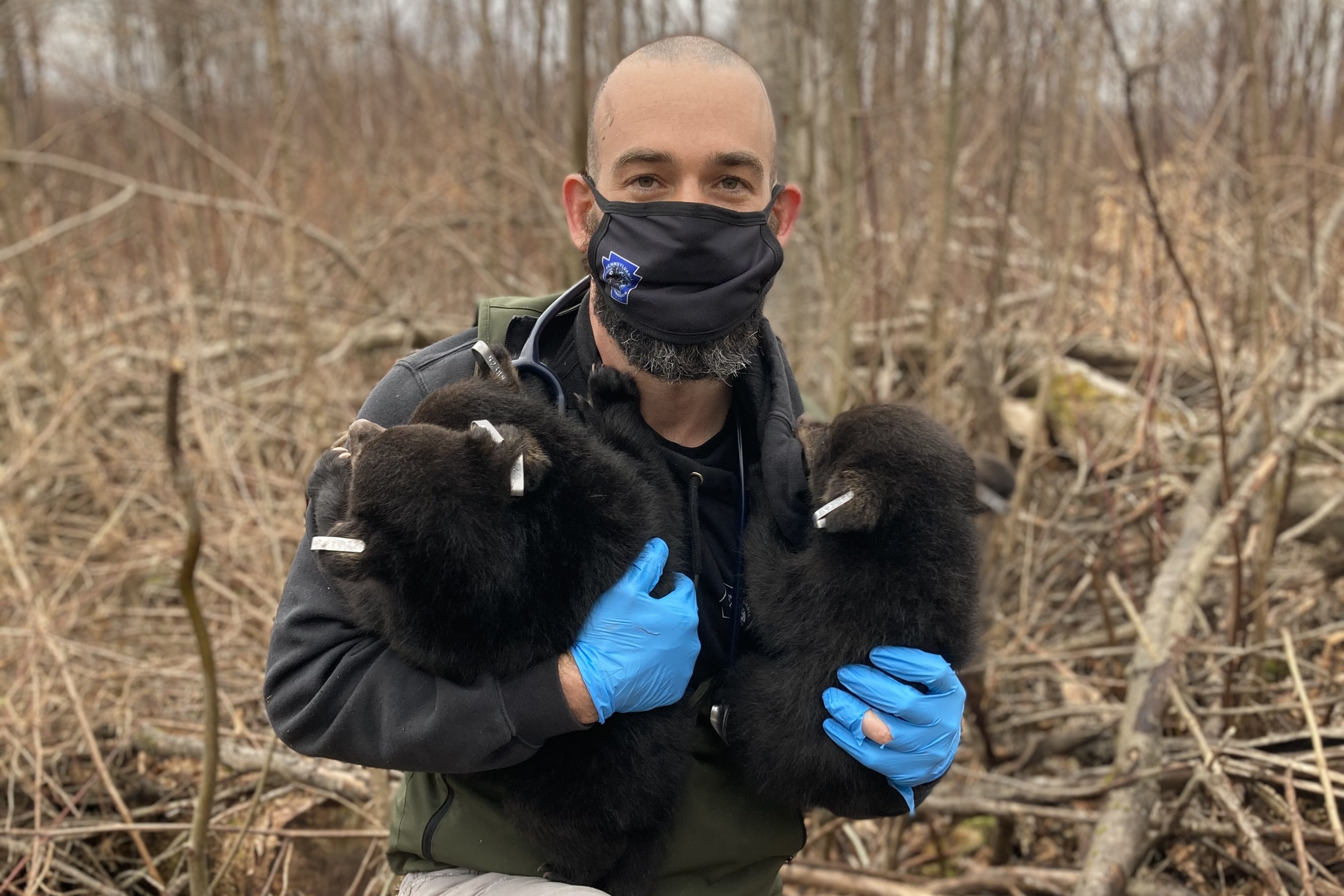 Andrew Di Salvo with two black bear cubs