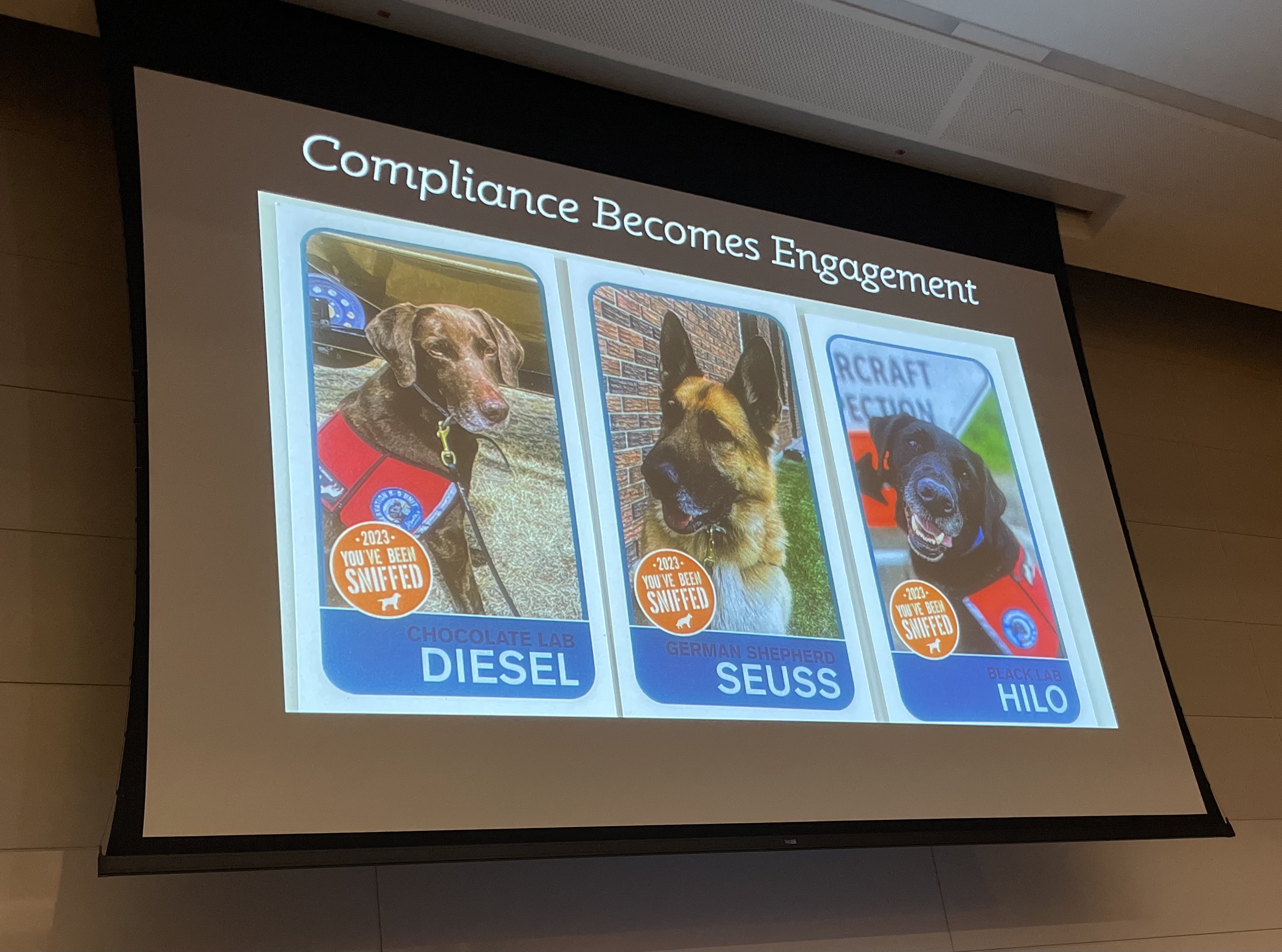 Working dogs featured on trading cards