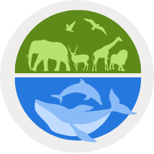 graphic of widlife animal silhouettes