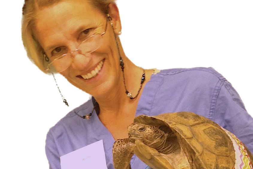 Peregrine Wolff with turtle