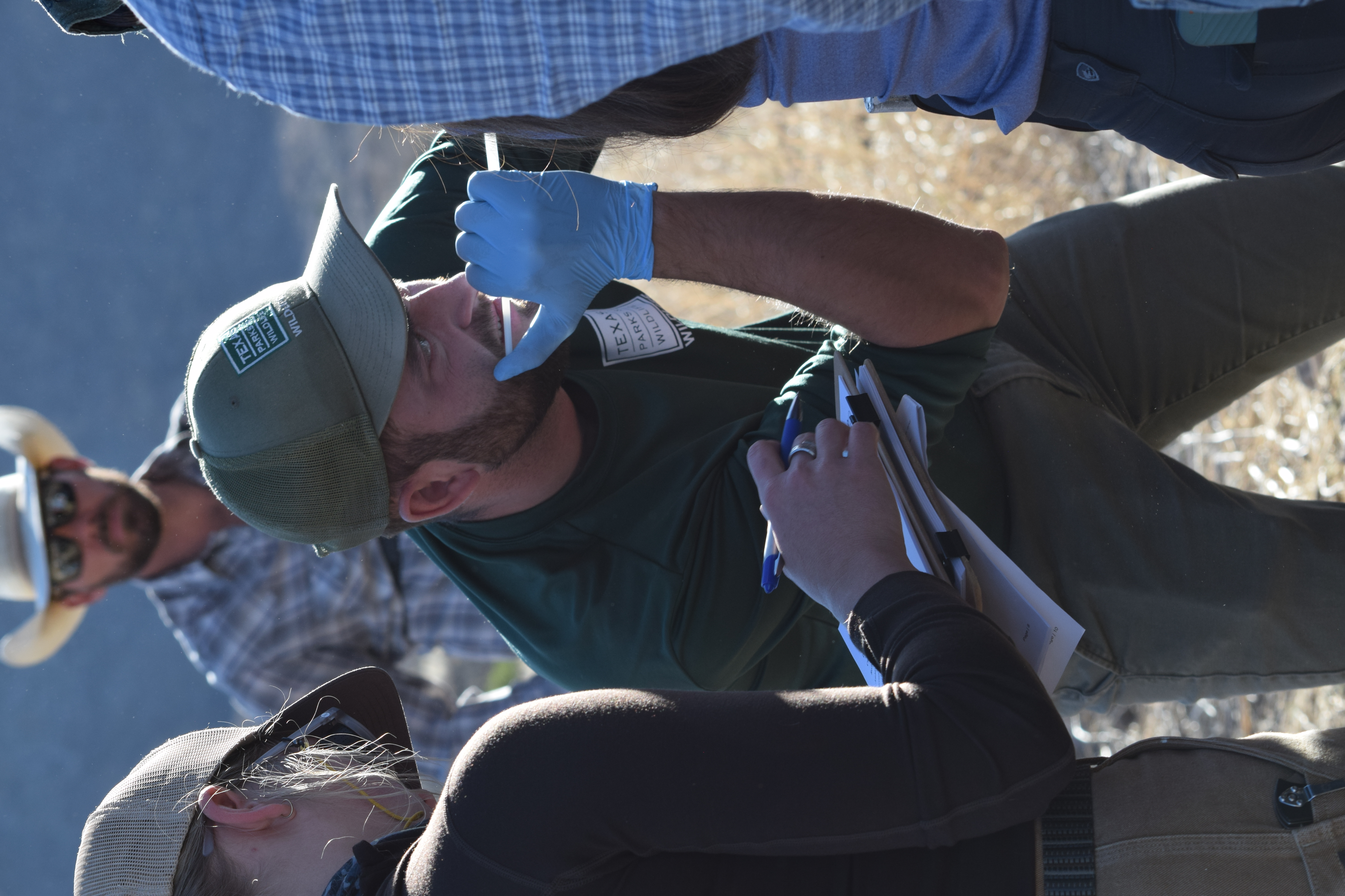 Dr. Reed performing a tonsil swab on an animal 