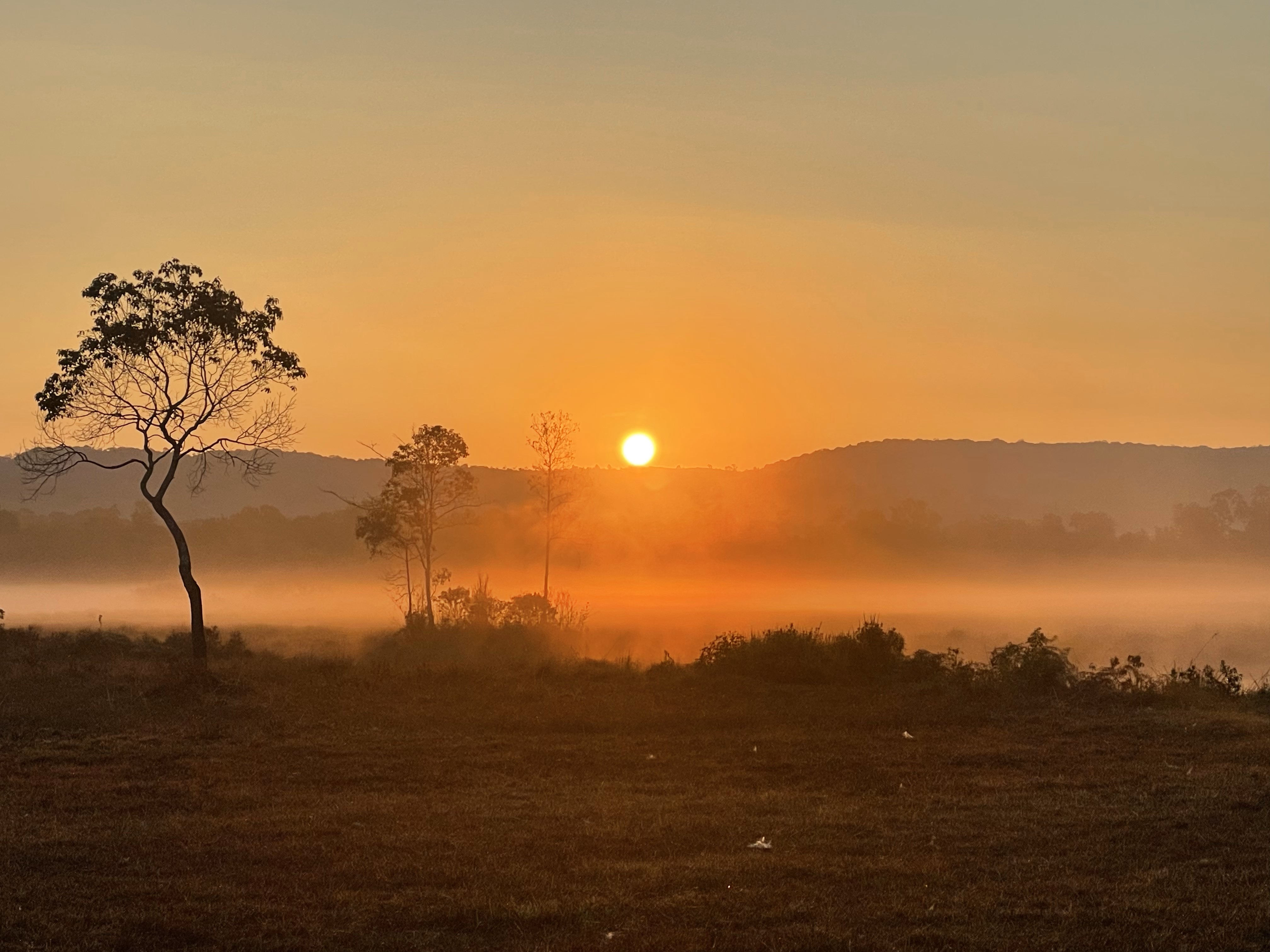 Landscape at sunset