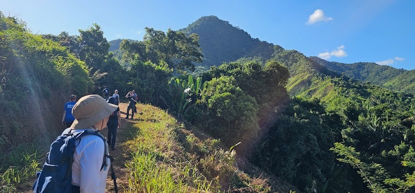 Appreciating the view on the hike to Rendrirendry Field Station in Betampona Natural Reserve