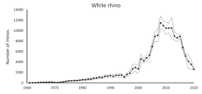 Graph showing rising then declining populations of white rhinos in Kruger Park from 1960–2020, with peaks around 2010 and declines by 2020