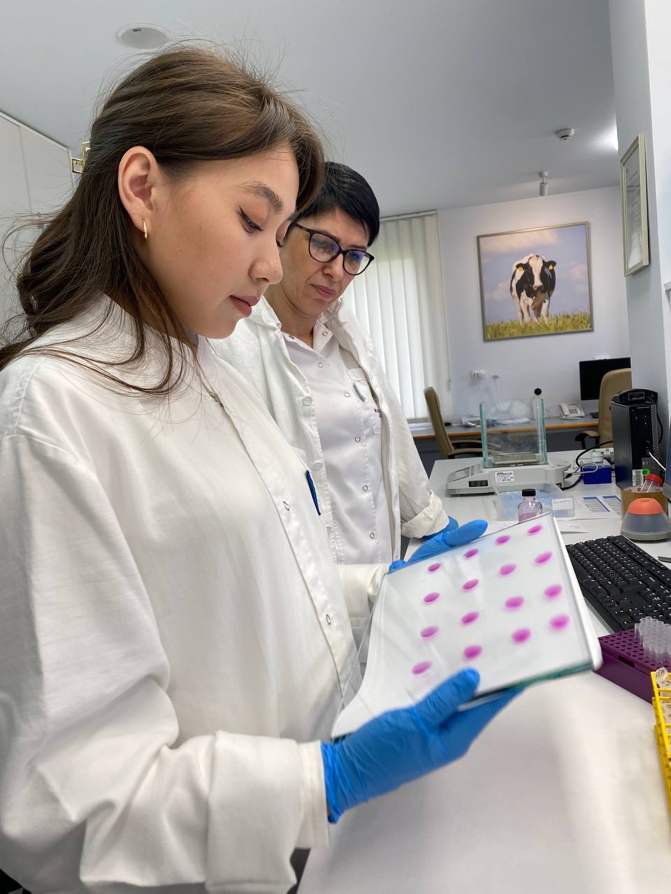 Klara working in the laboratory with a lab specialist