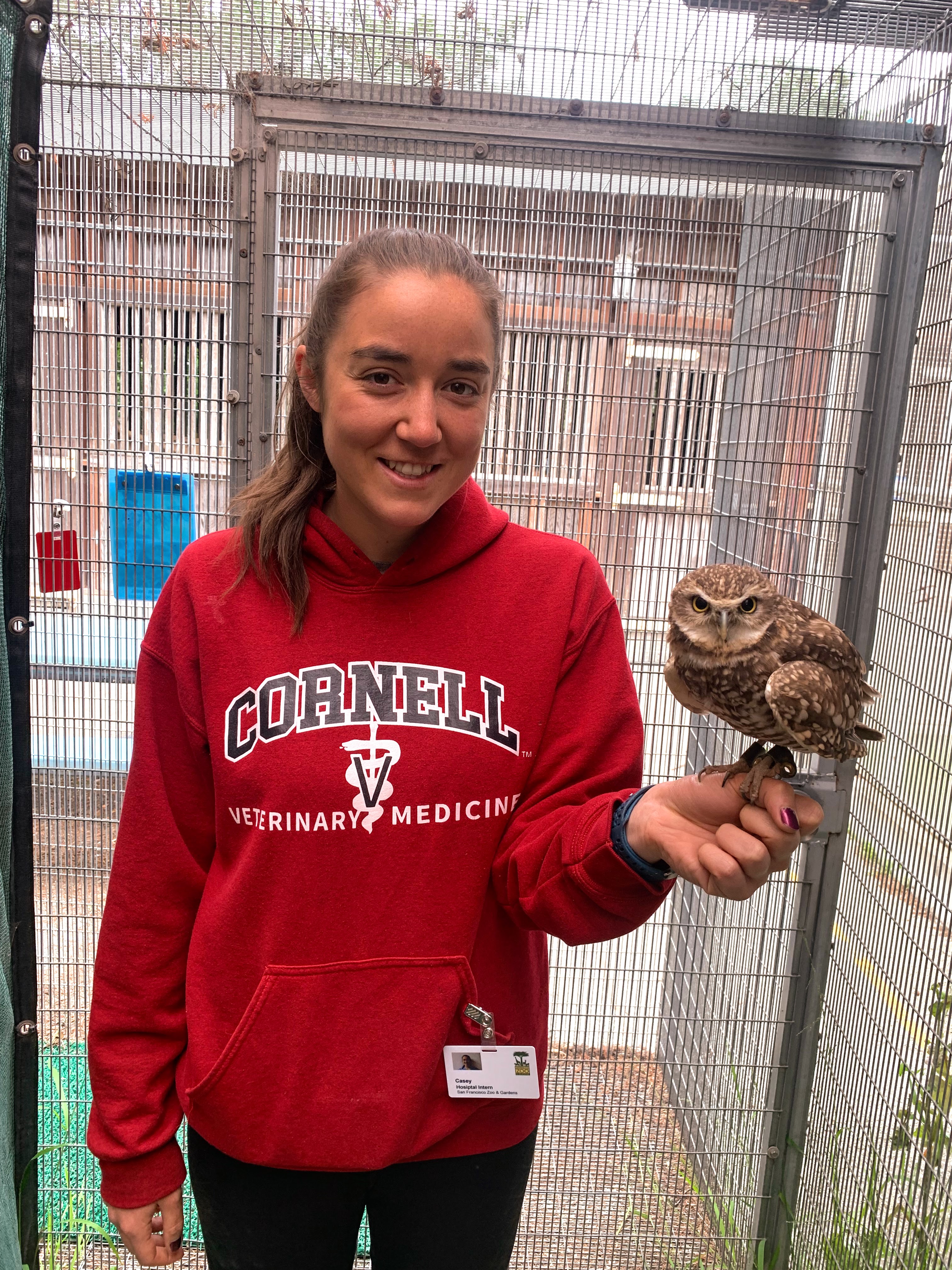 Casey standing and smiling with an owl perched on her hand.