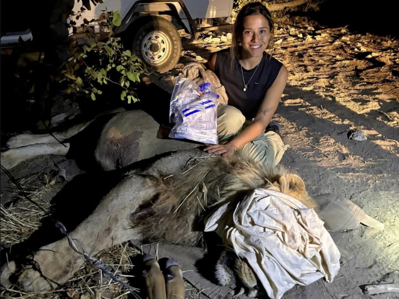 Ava kneels next to a sedated lion lying on the ground at night. The lion’s face is partially covered with a cloth, and Ava is holding a bag of medical supplies, smiling at the camera. A vehicle is visible in the background.