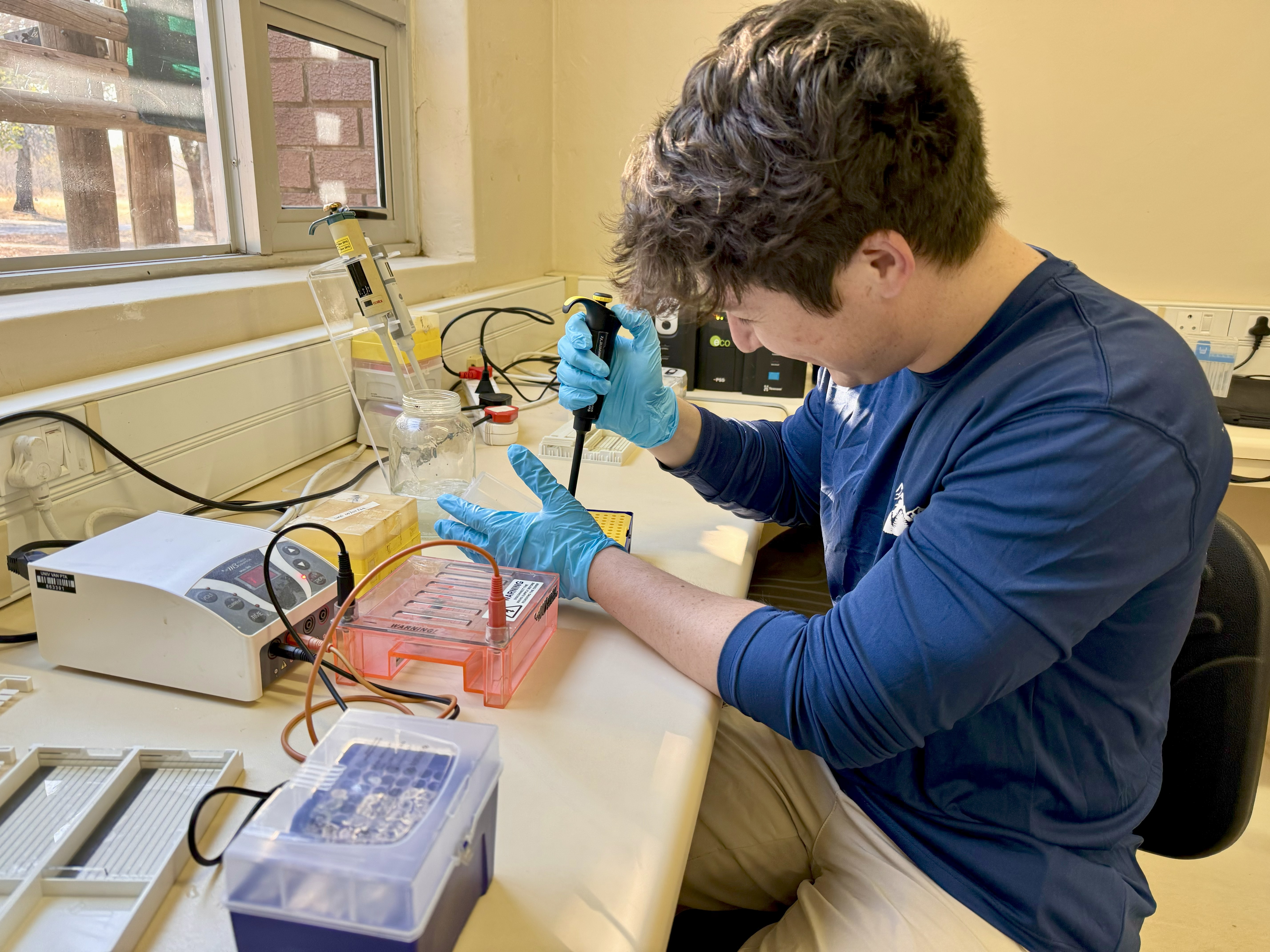 Michael is sitting at a desk in a lab setting, wearing blue gloves and using a pipette. 