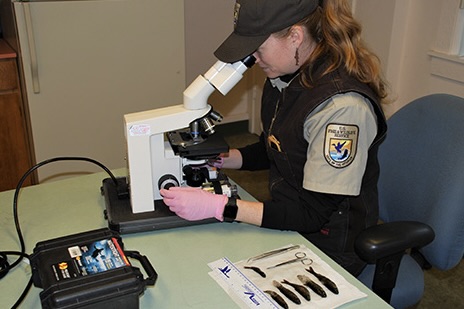Christine Parker Graham viewing samples through the microscope 