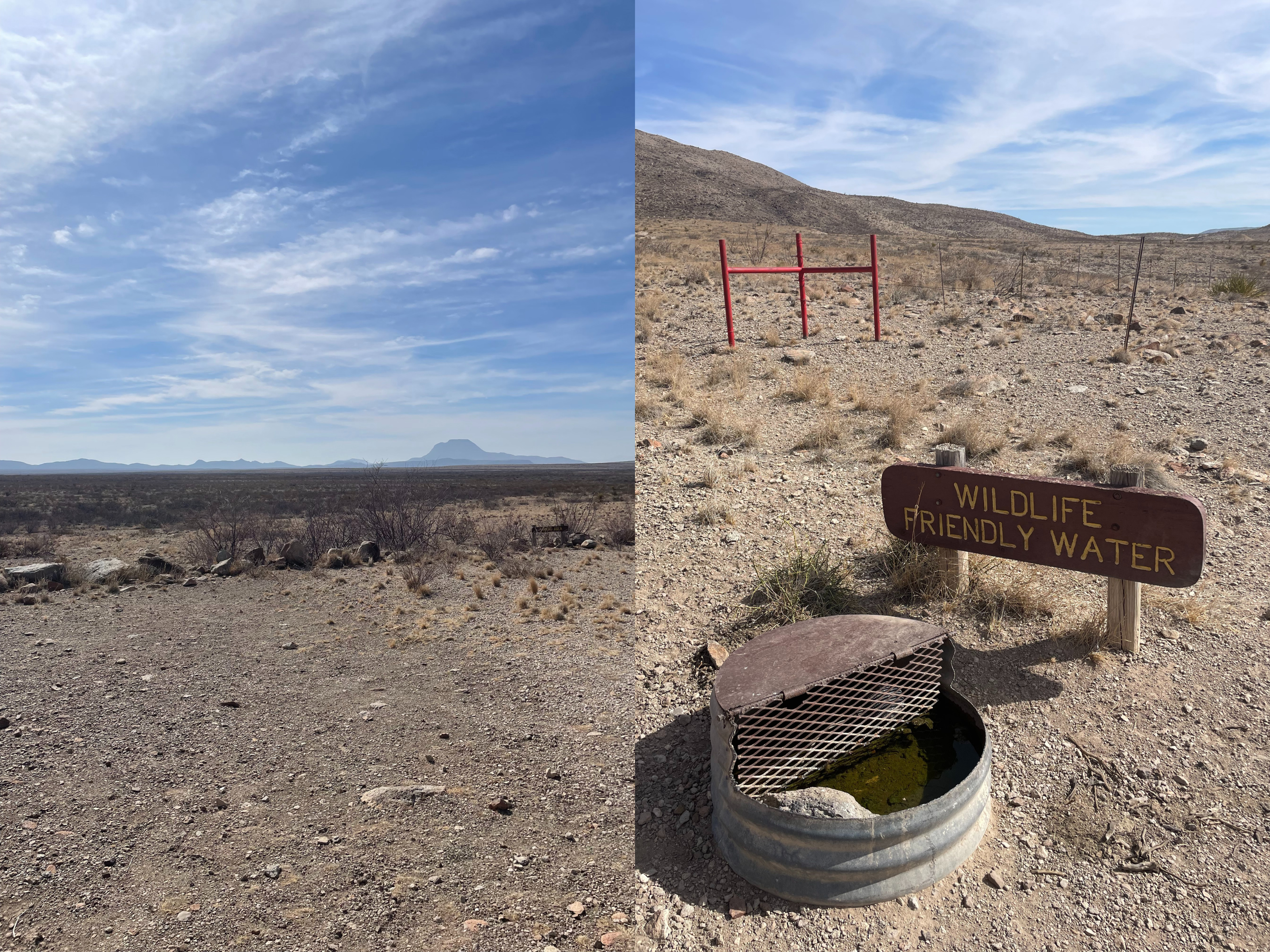 Desert landscape with blue sky (left), desert landscape with metal bowl with sign that reads "Wildlife Friendly Water" (right)