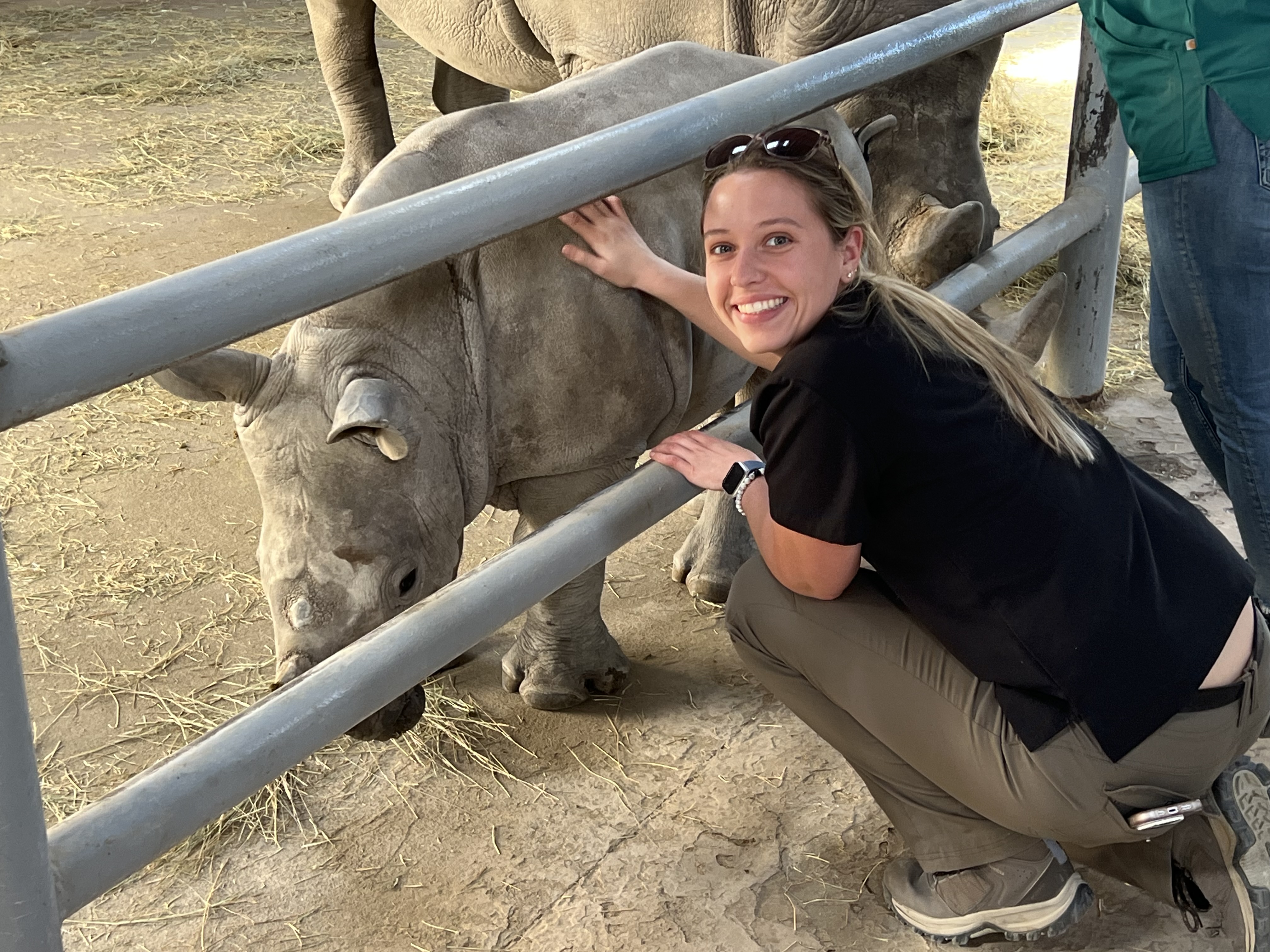 Erica smiling while squatting down in front of a rhino, touching it through a fence.