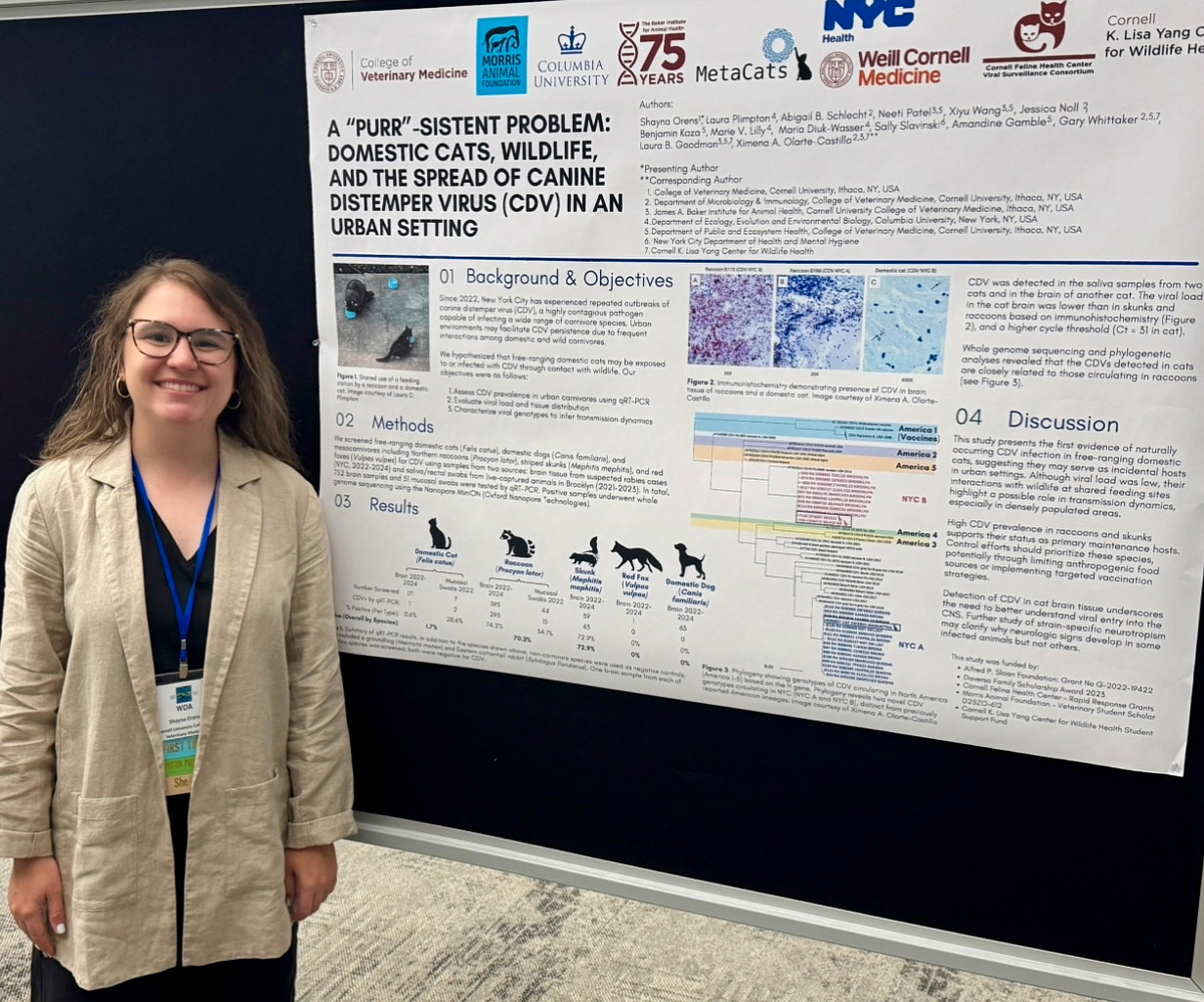 Shayna standing next to a research poster titled "A "PURR"-sistent Problem: Domestic Cats, Wildlife, and the Spread of Canine Distemper Virus (CDV) in an Urban Setting".