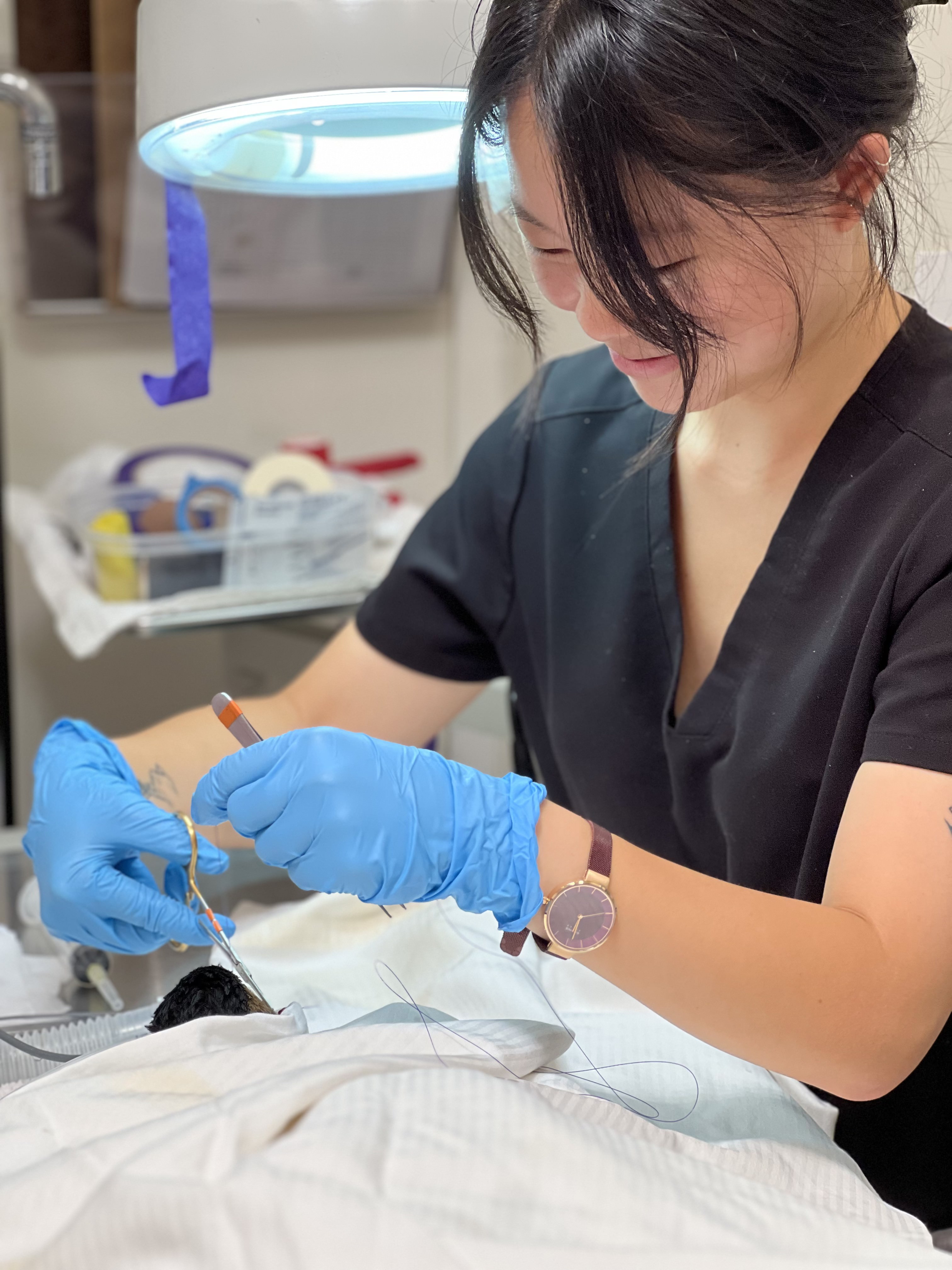Claire is wearing blue gloves as she sutures a goose under a white blanket.