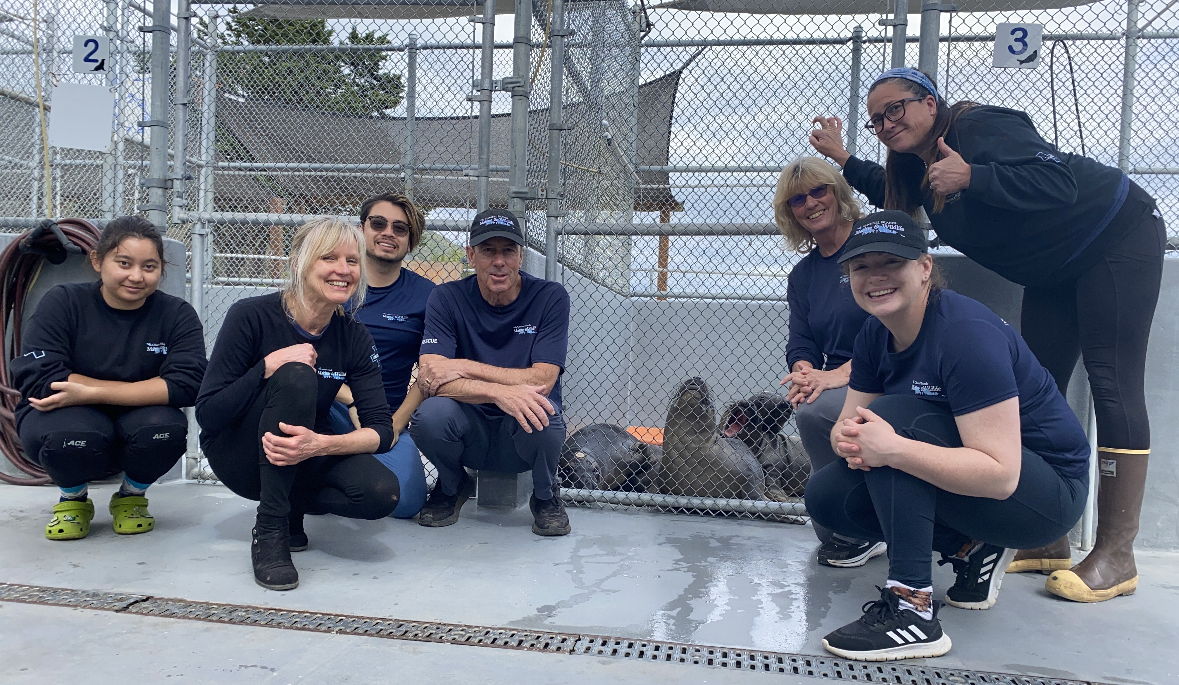 A group of volunteers kneel and smile for a photo beside a chain-link enclosure at a marine mammal facility, with several seals resting inside the pen behind them. The volunteers wear matching navy shirts and outdoor gear, and the setting appears to be an outdoor rehabilitation area with numbered enclosures.