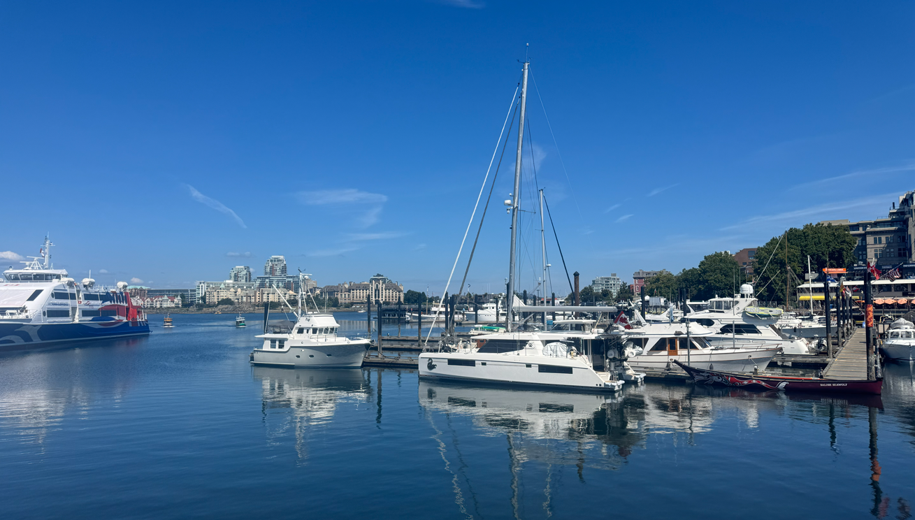 Several boats anchored in a harbor.