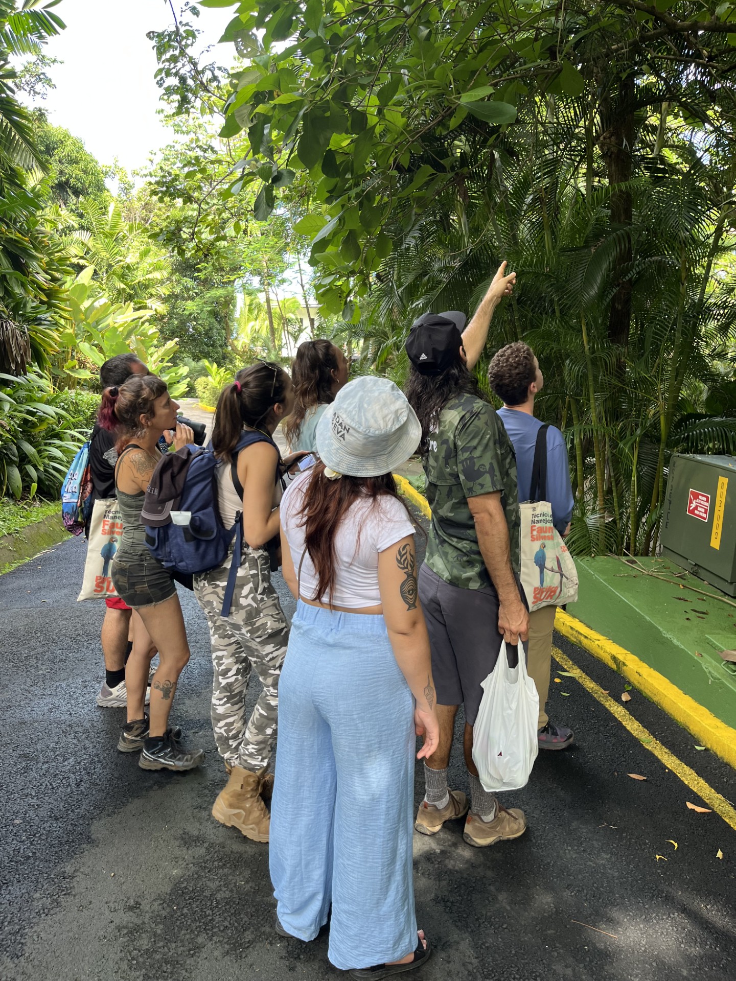 A group of people looking up and pointing into the trees. 