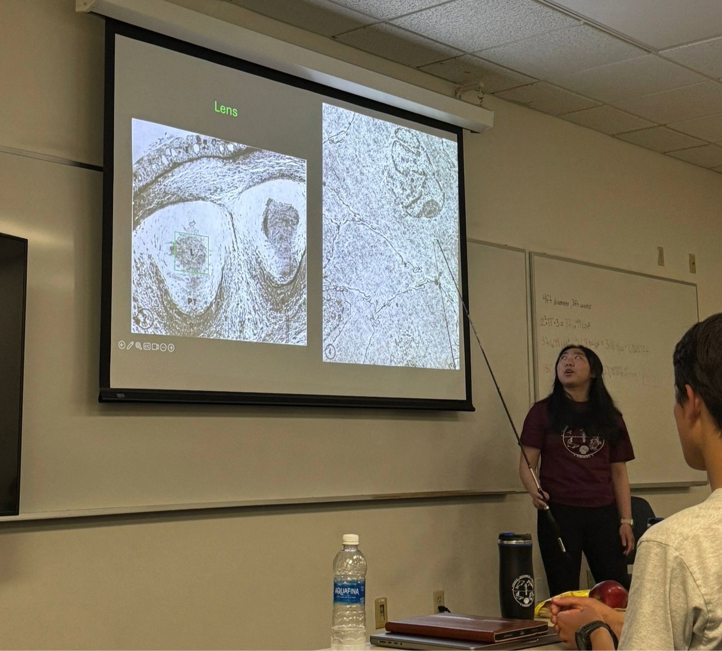 Clare is holding a pointer while she presents a slide on a projector.