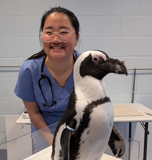 Rosemary Sun posing with a penguin.
