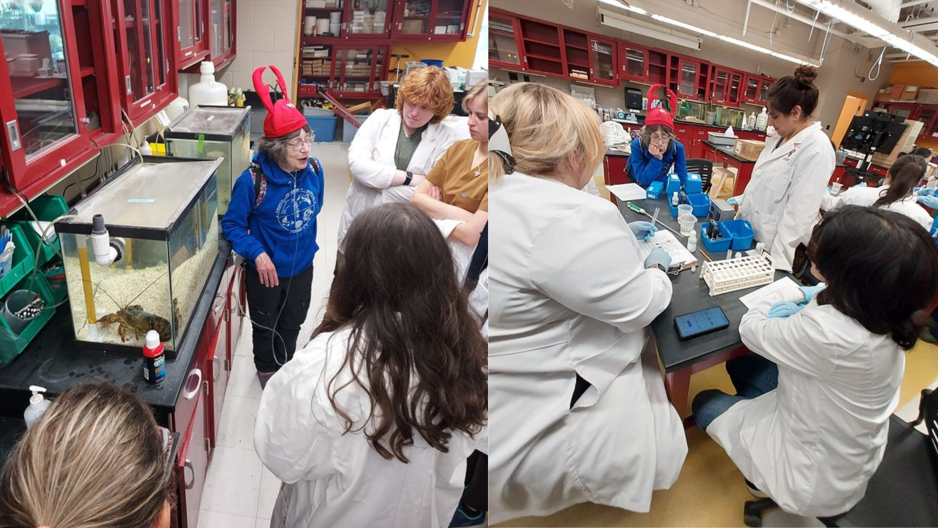 A woman wearing a red lobster hat speaks to a group of students in white lab coats in a science laboratory. The students gather around aquariums containing crayfish on one side and around a lab table with test tubes and equipment on the other side.