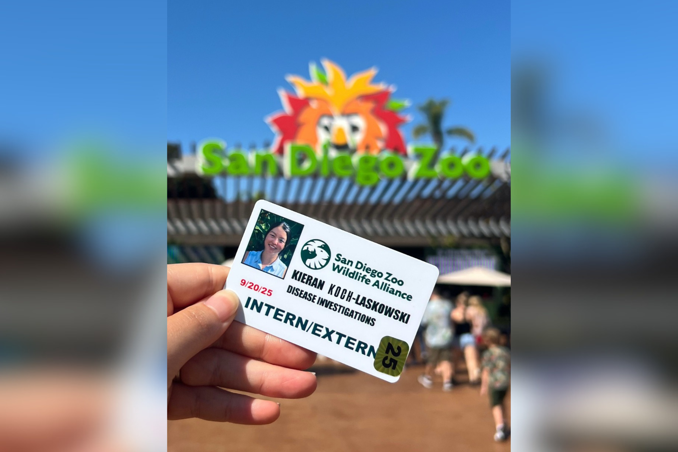 A hand holding an identification card with a photo of a person that says "San Diego Zoo Wildlife Alliance."