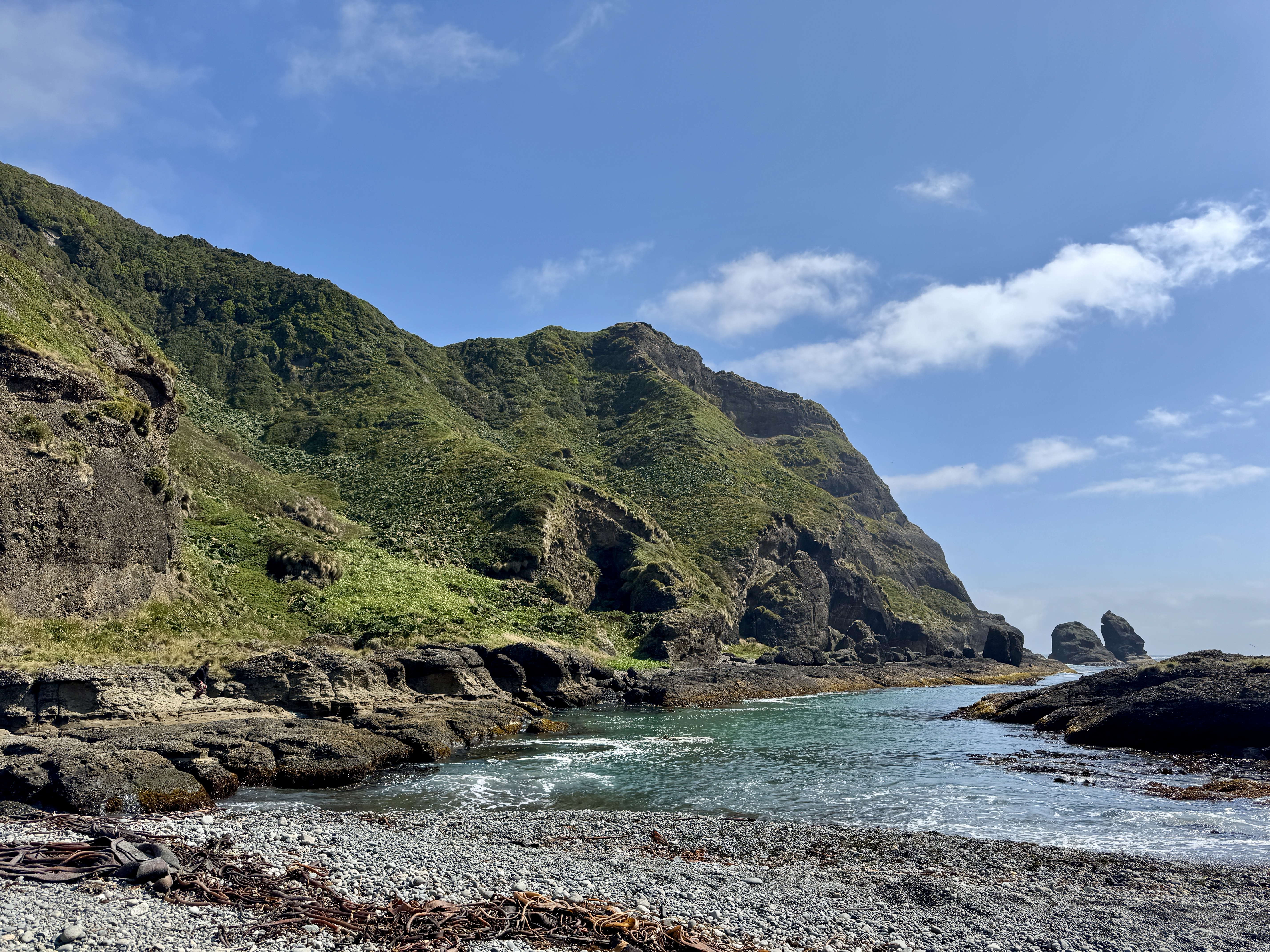 Rocky coastal cove bordered by steep, grass-covered cliffs under a blue sky.