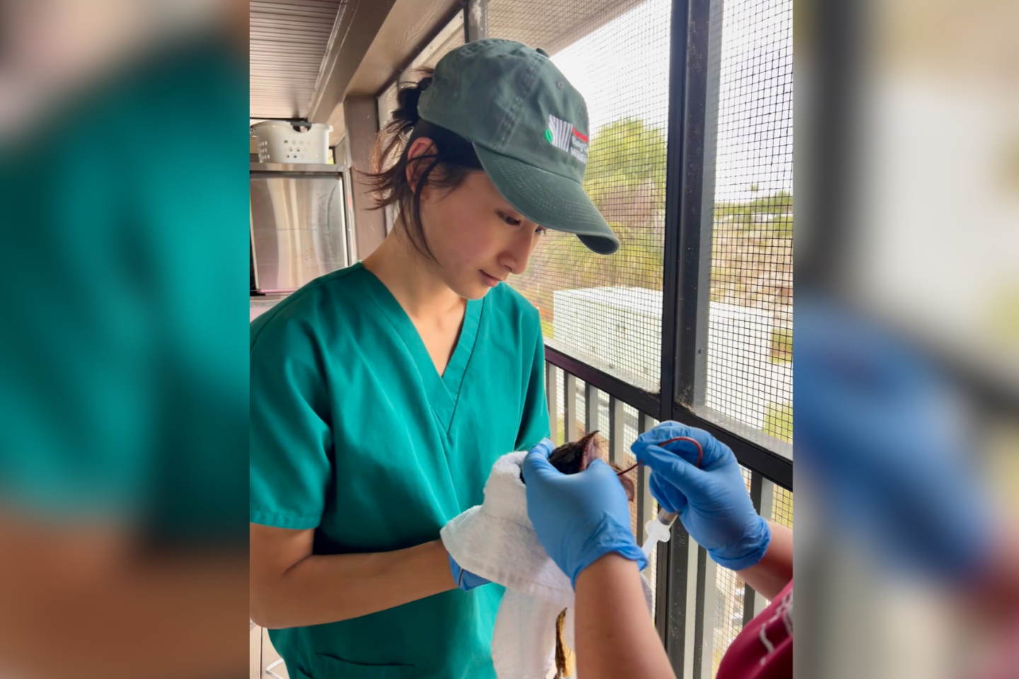 Amy holding a bird for a procedure