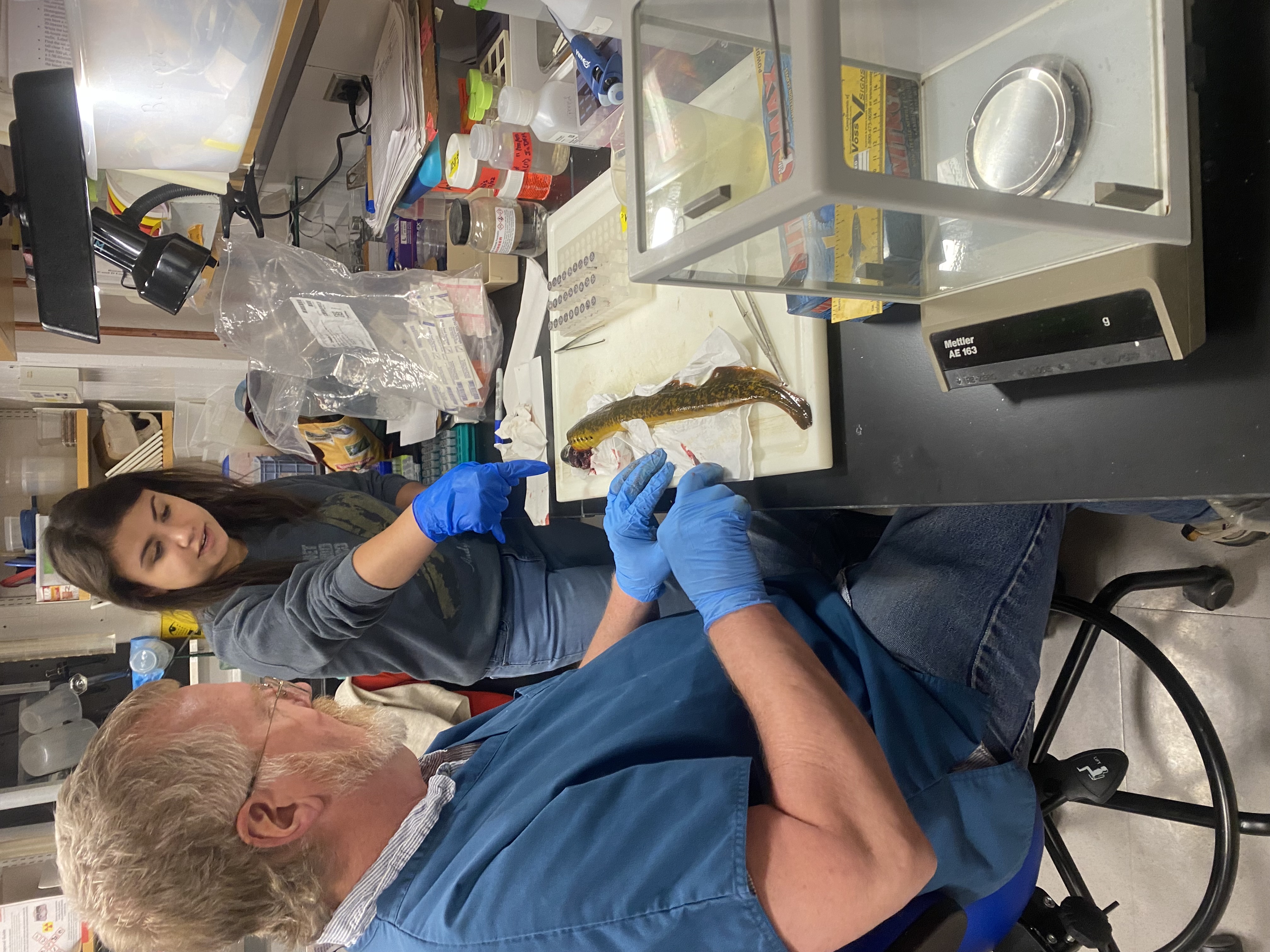 Rod Getchell examining a fish with a student.