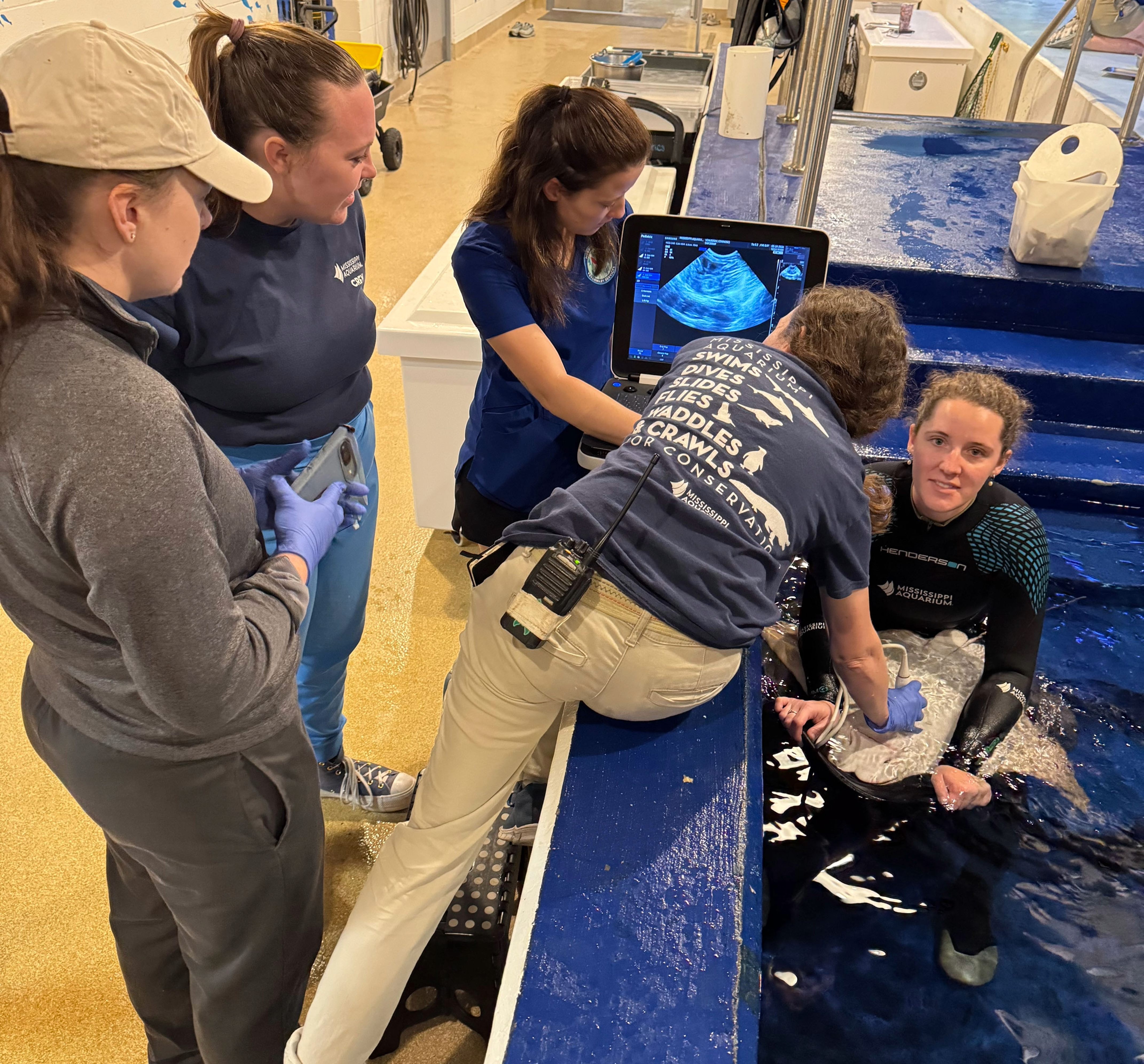 Four people work together around a pool while a staff member examines an ultrasound image.