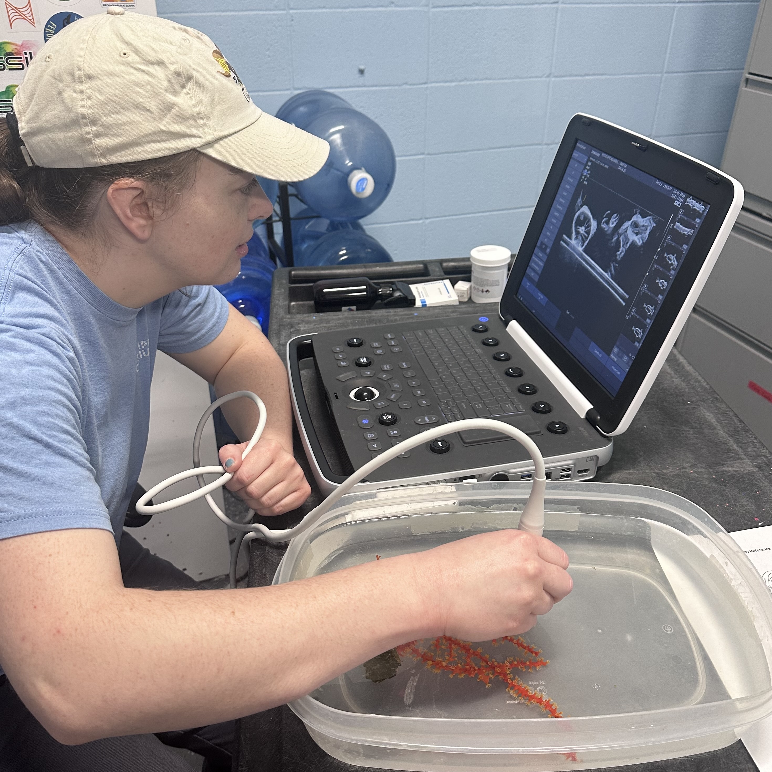 Kathleen sitting at a desk and performing an ultrasound on a coral.