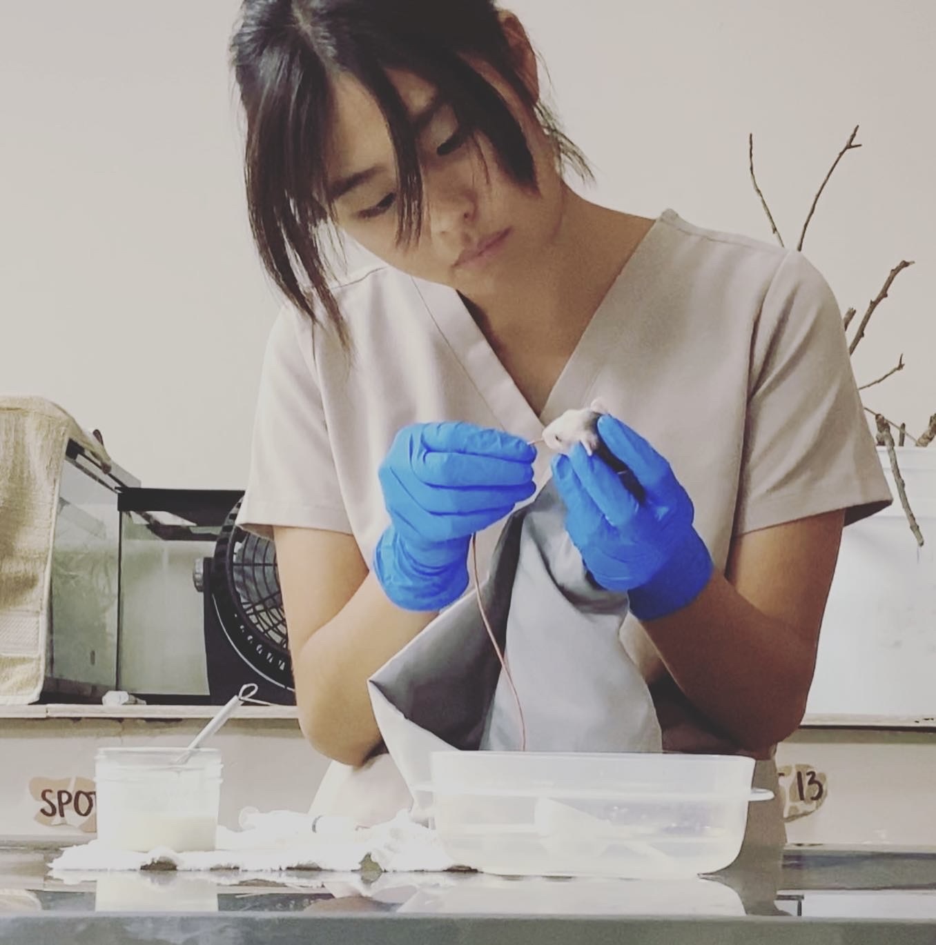 Jessica Park working in a lab
